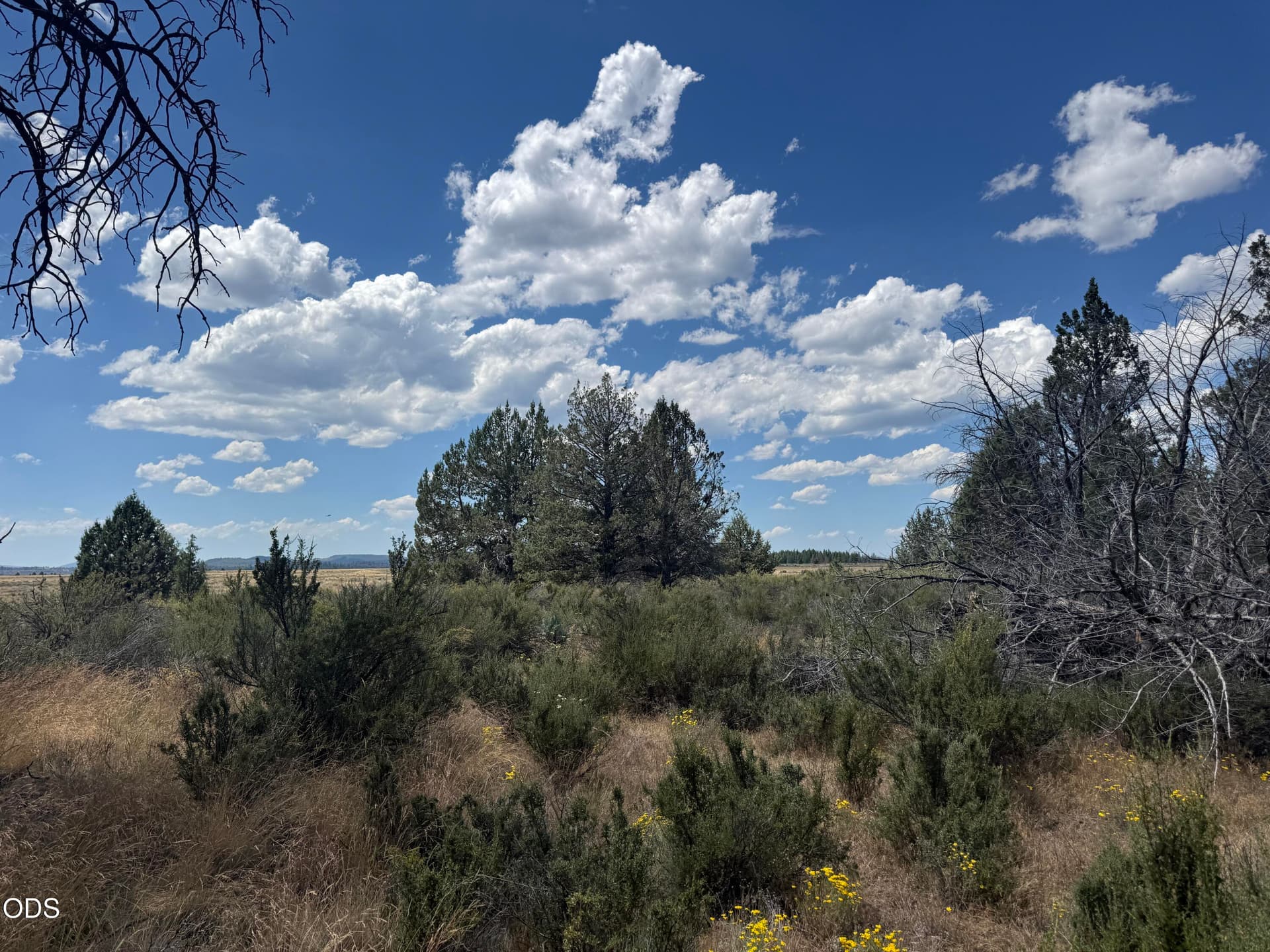 IMG_4173. Photo 1 of 14, 2000 oregon pines, Beatty, OR 97621
