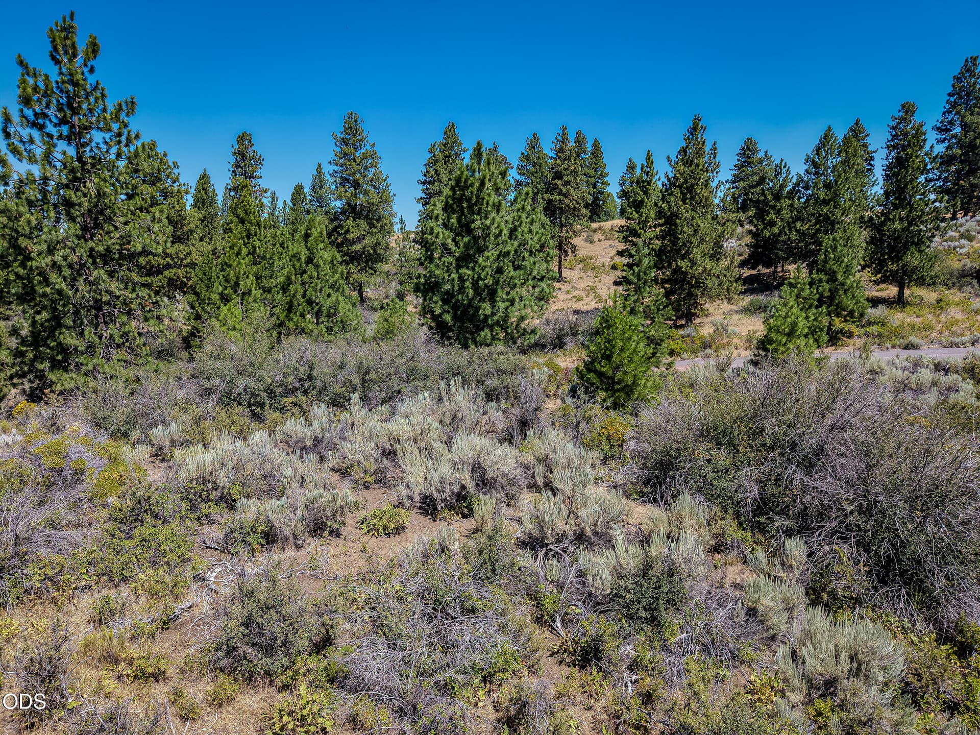 RiverCrestDrive-183. Photo 2 of 6, 0 Legget Drive, Chiloquin, OR 97624