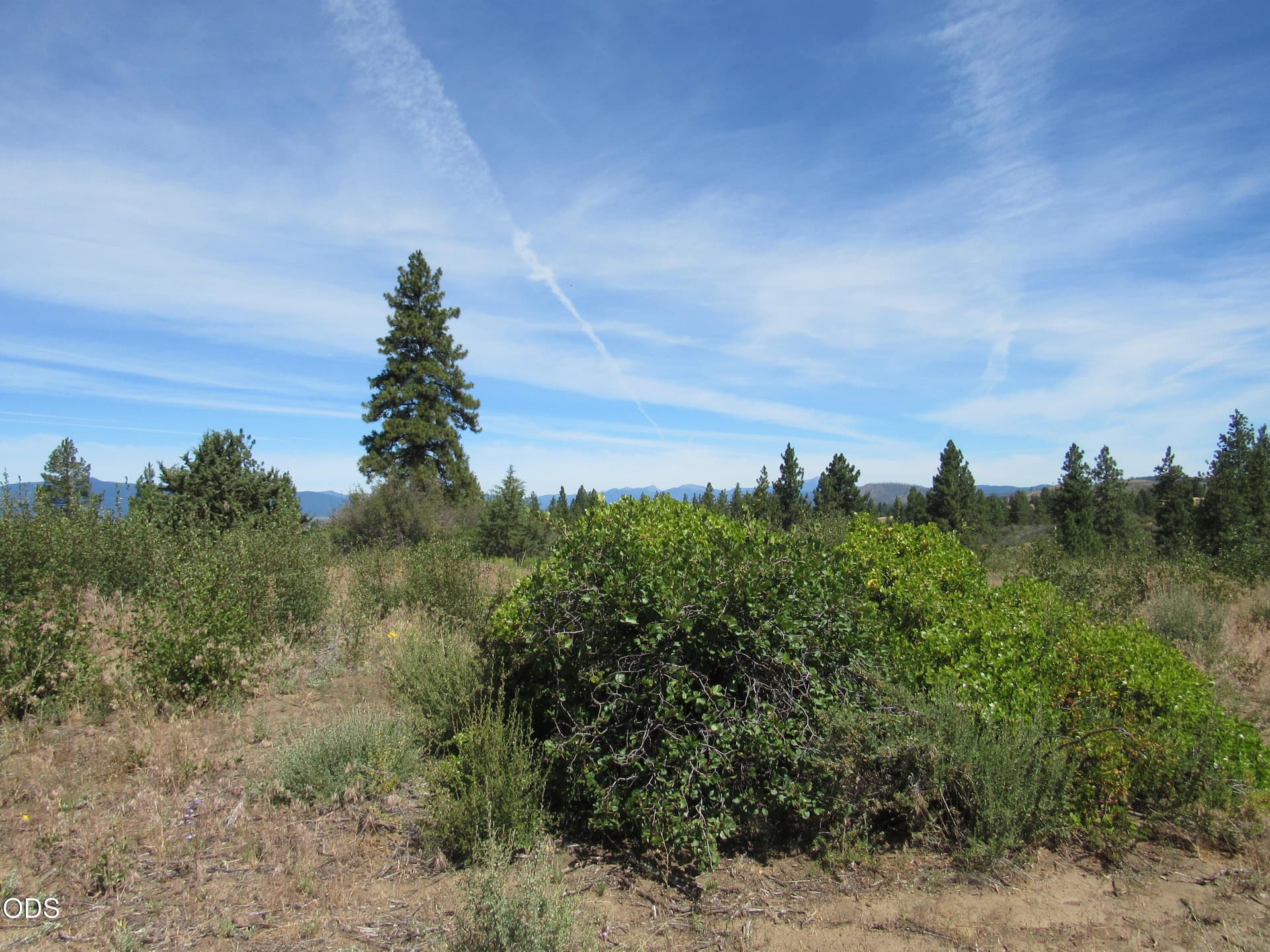 IMG_3438. Photo 1 of 8, 0 Ranch Road Unit 6, Chiloquin, OR 97624
