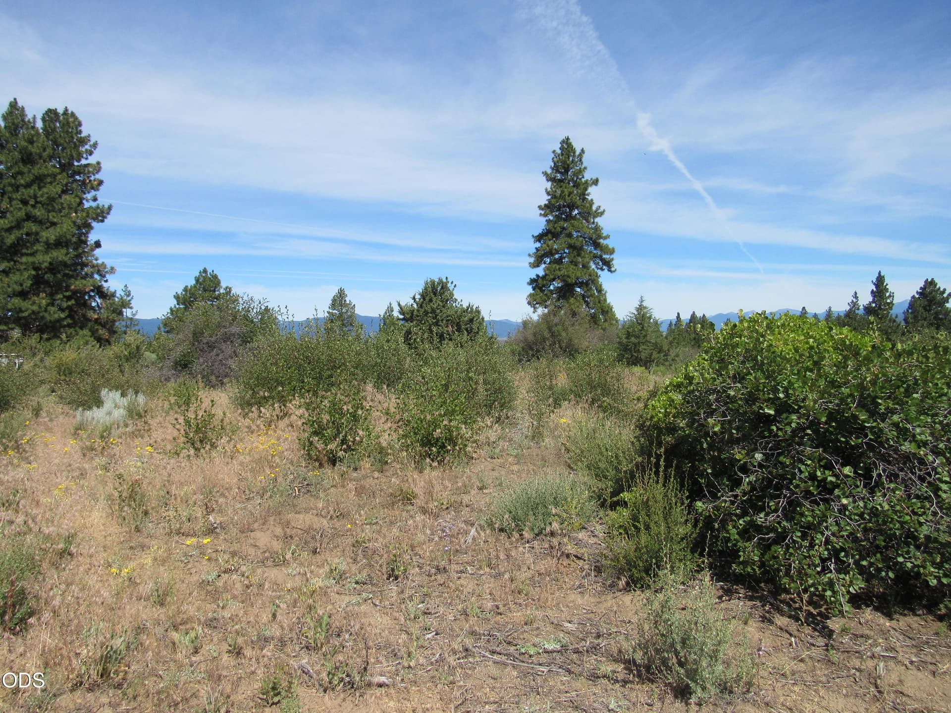 IMG_3439. Photo 2 of 8, 0 Ranch Road Unit 6, Chiloquin, OR 97624