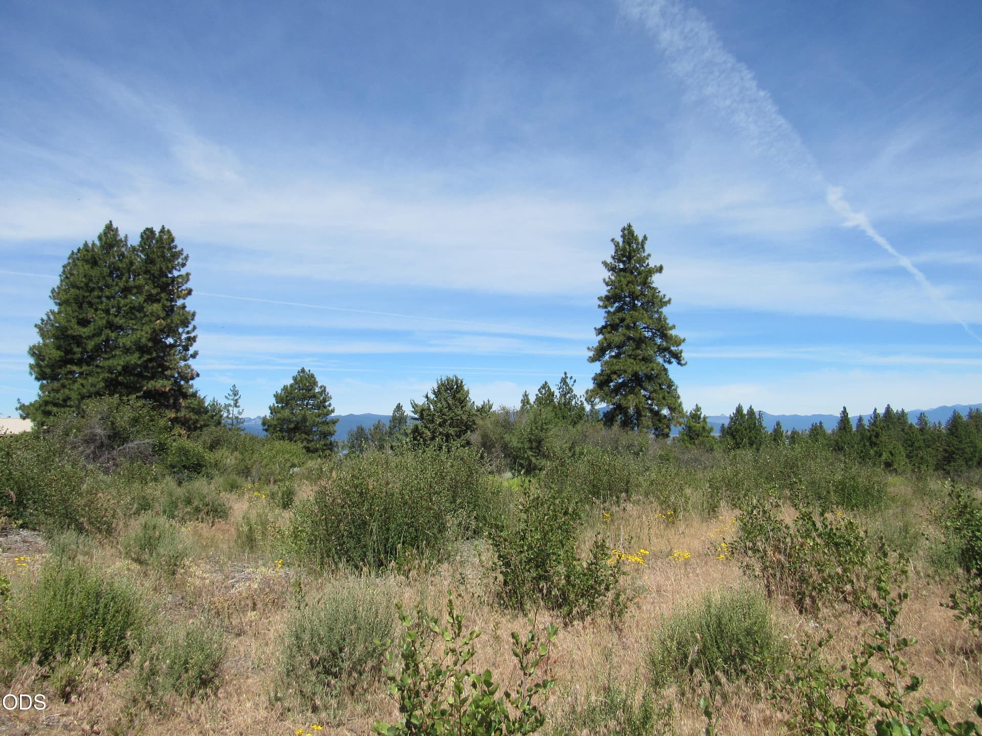 IMG_3441. Photo 4 of 8, 0 Ranch Road Unit 6, Chiloquin, OR 97624