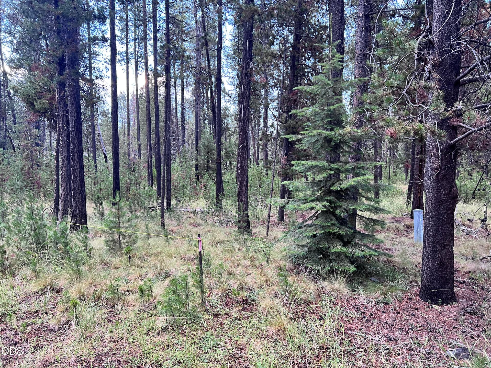 IMG_6077. Photo 2 of 8, 17080 Island Loop Way, Bend, OR 97707