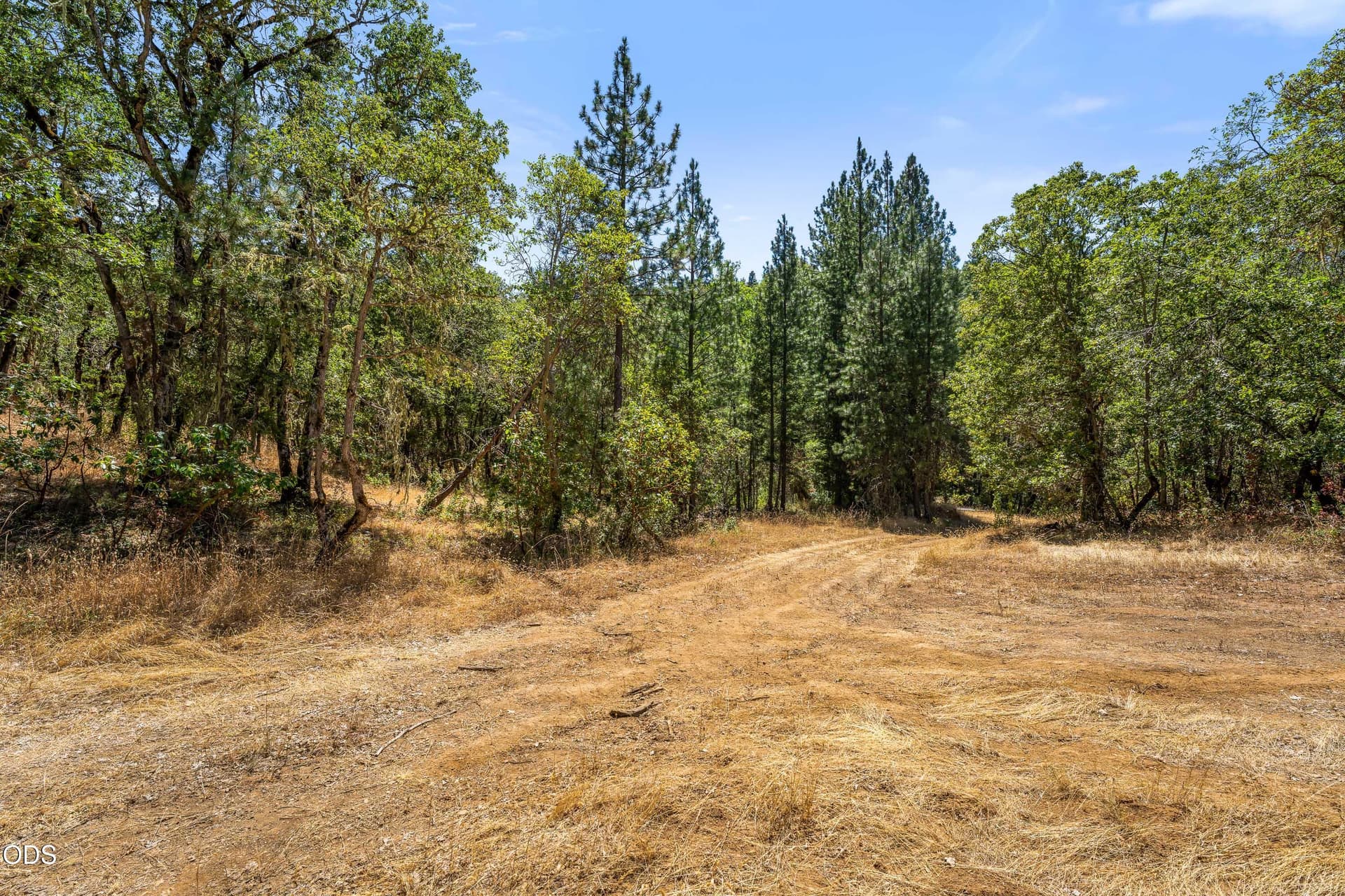 10-EXT (1 of 9). Photo 2 of 20, 4199 Foots Creek Road, Gold Hill, OR 97525