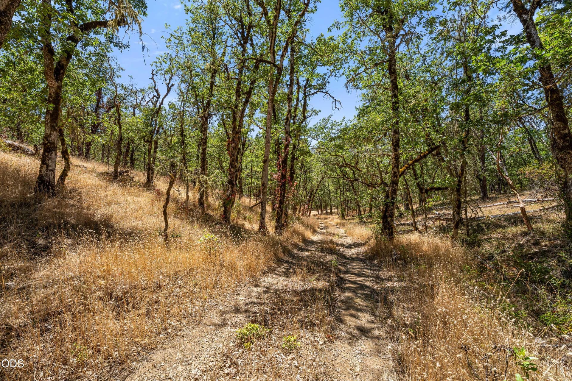 11-EXT (2 of 9). Photo 3 of 20, 4199 Foots Creek Road, Gold Hill, OR 97525