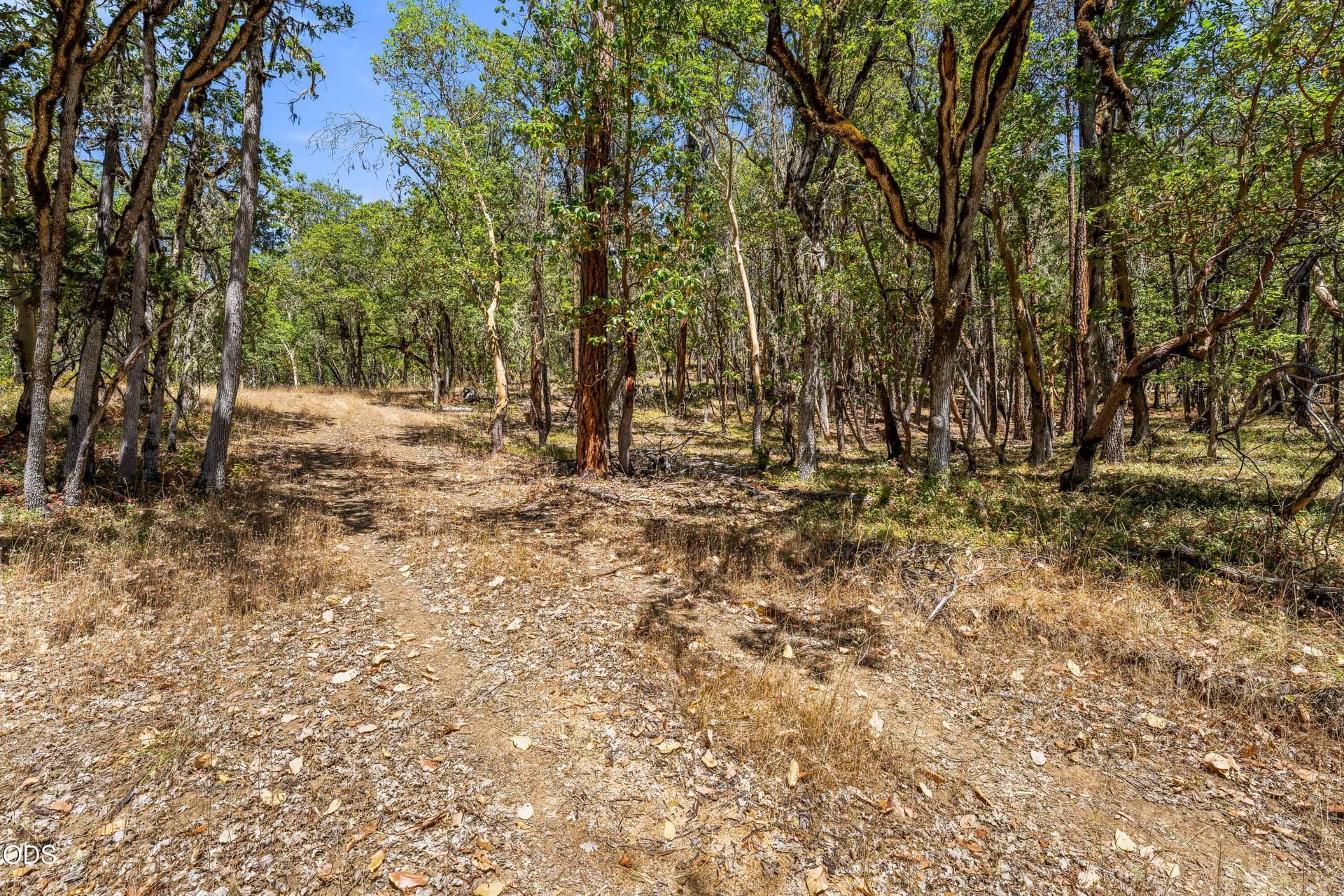 12-EXT (3 of 9). Photo 5 of 20, 4199 Foots Creek Road, Gold Hill, OR 97525