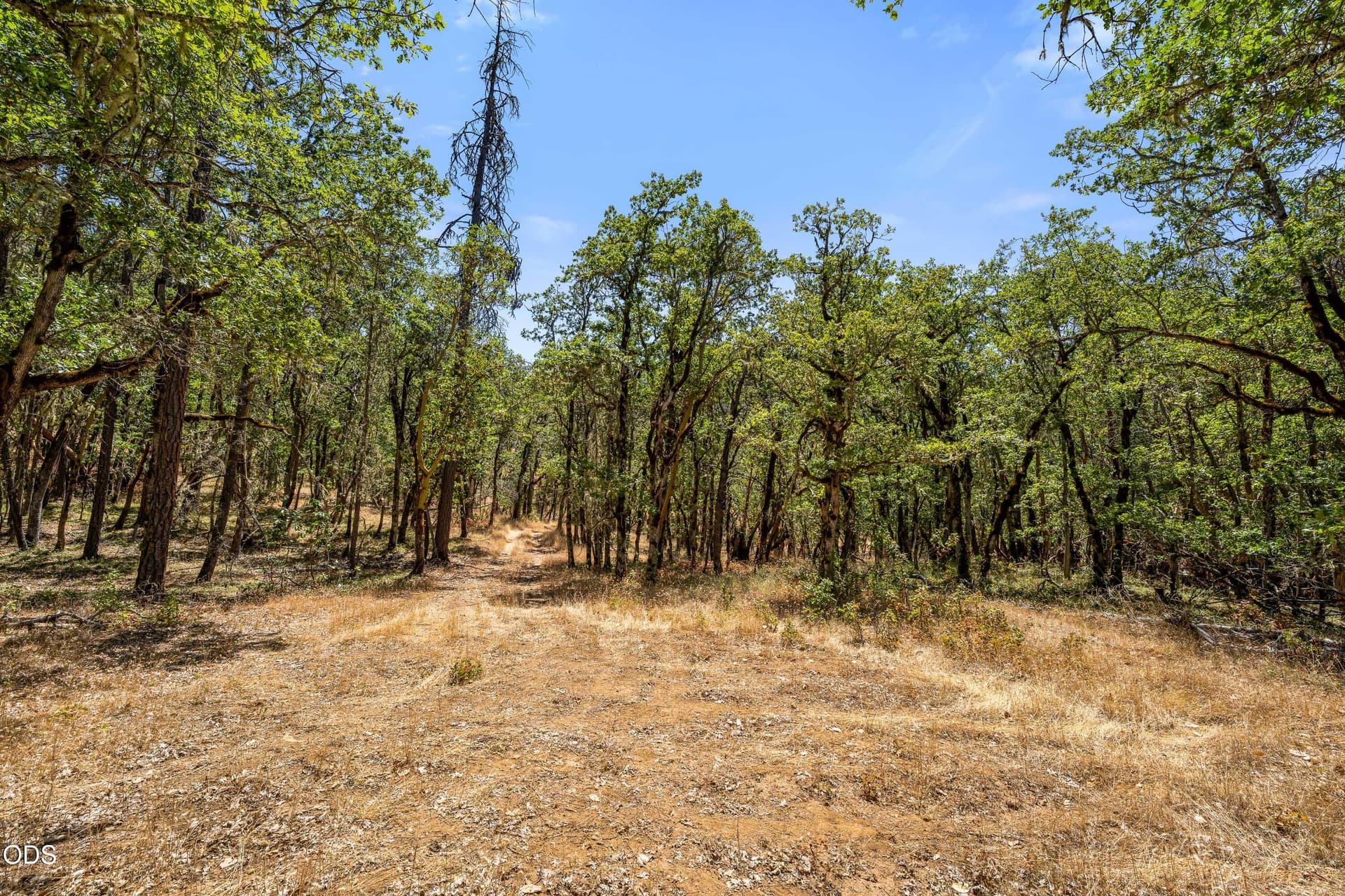 13-EXT (4 of 9). Photo 4 of 20, 4199 Foots Creek Road, Gold Hill, OR 97525