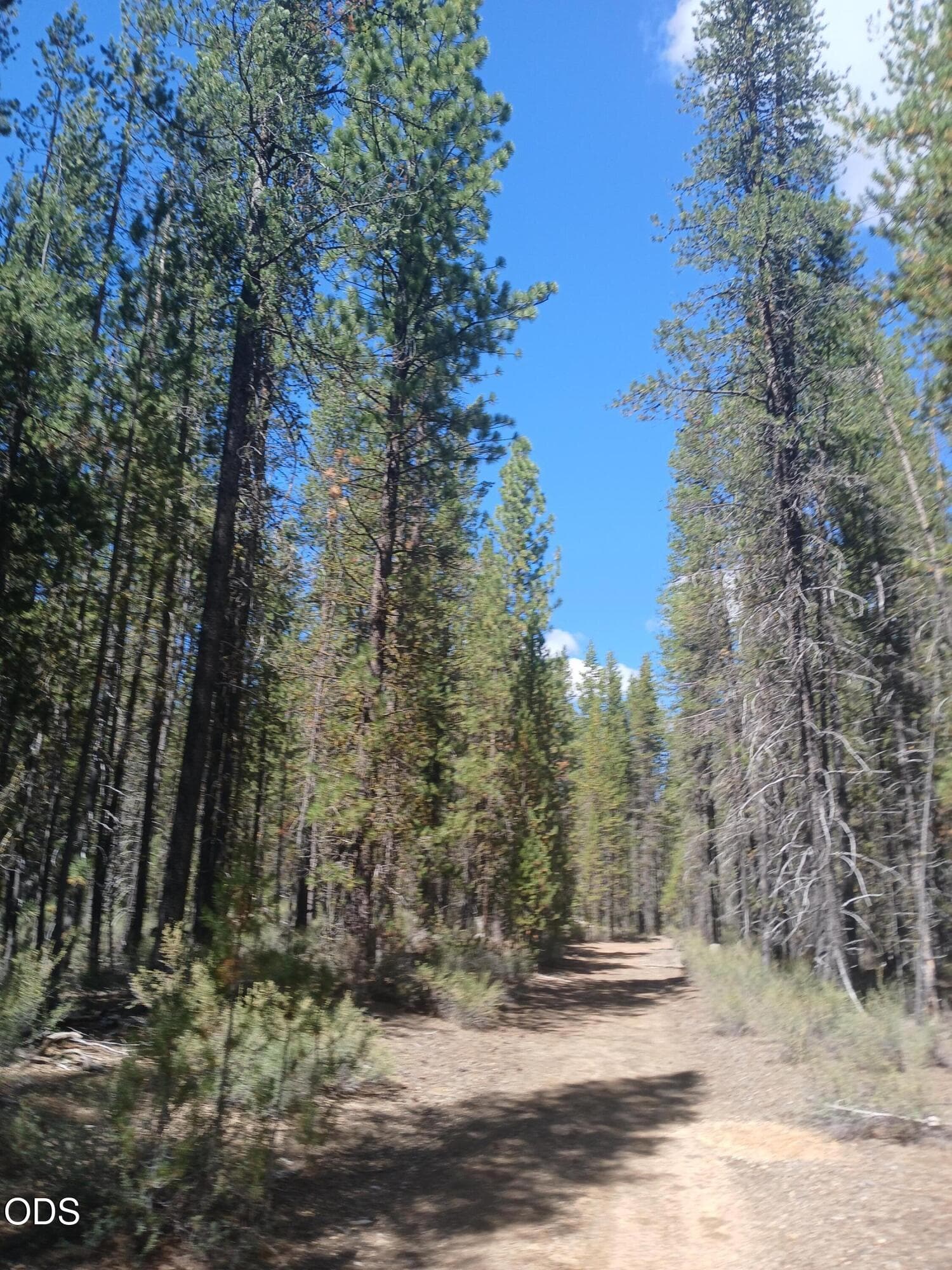 1. Photo 1 of 17, 0 Schoonover 5 Road Unit Lot #3600, Crescent, OR 97733