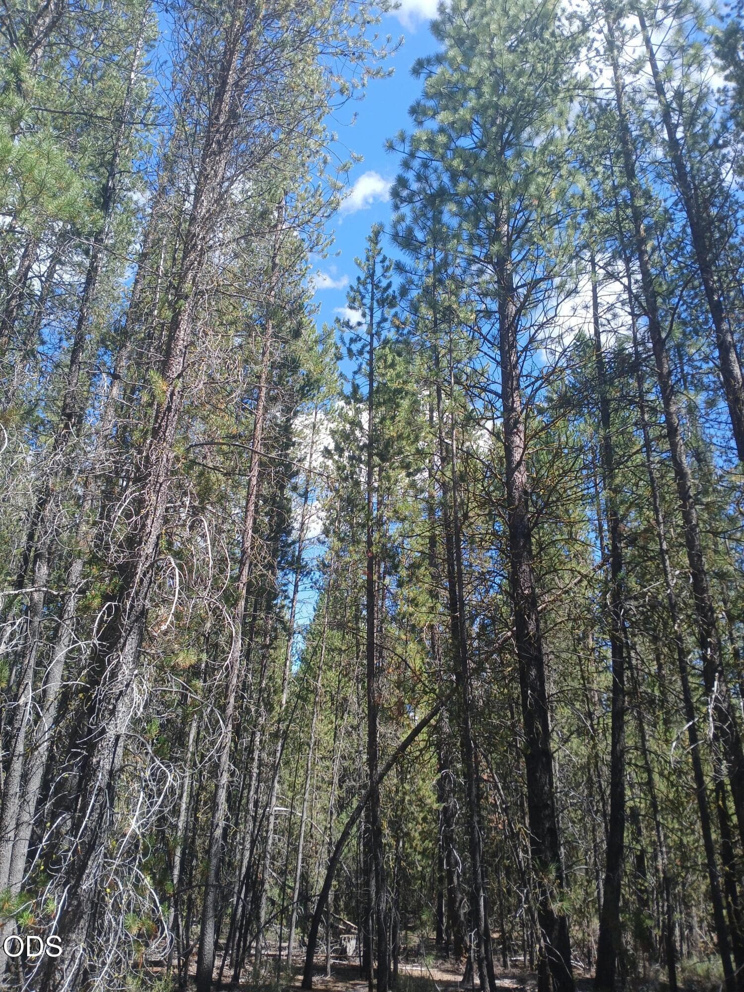 2. Photo 2 of 17, 0 Schoonover 5 Road Unit Lot #3600, Crescent, OR 97733