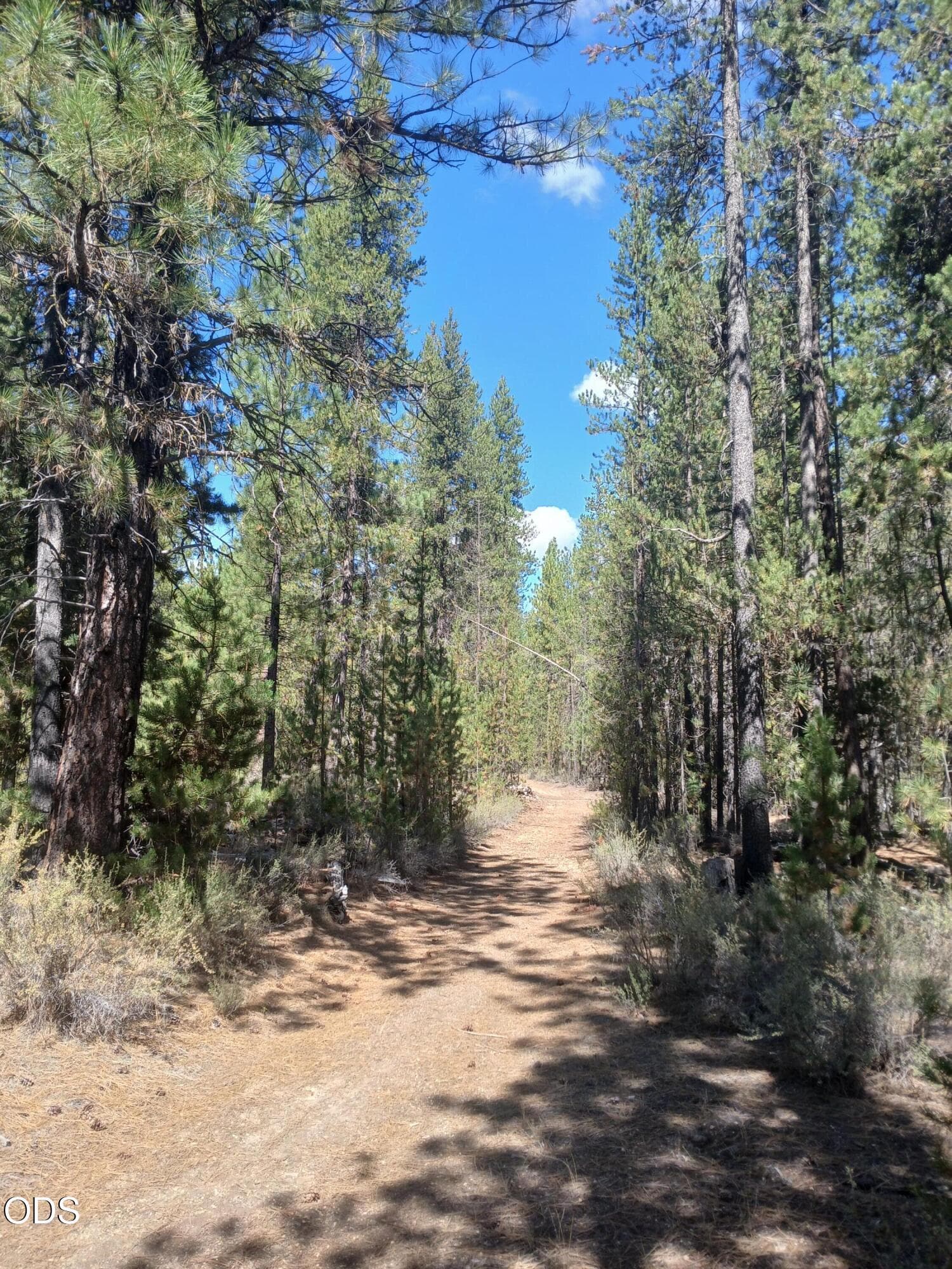 4. Photo 4 of 17, 0 Schoonover 5 Road Unit Lot #3600, Crescent, OR 97733