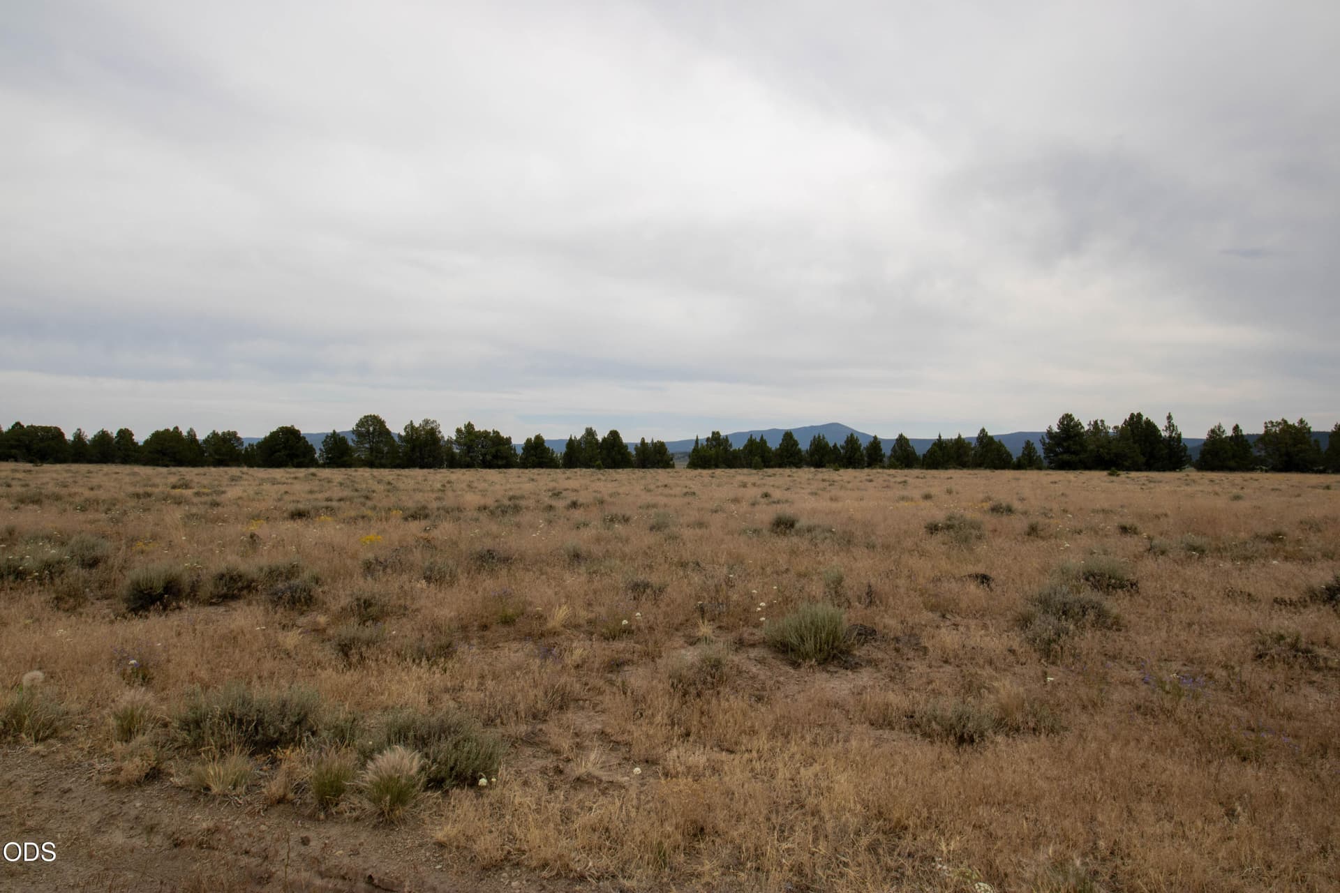 Felix Hernandez-2. Photo 2 of 7, Rim Drive Unit 24, Chiloquin, OR 97624