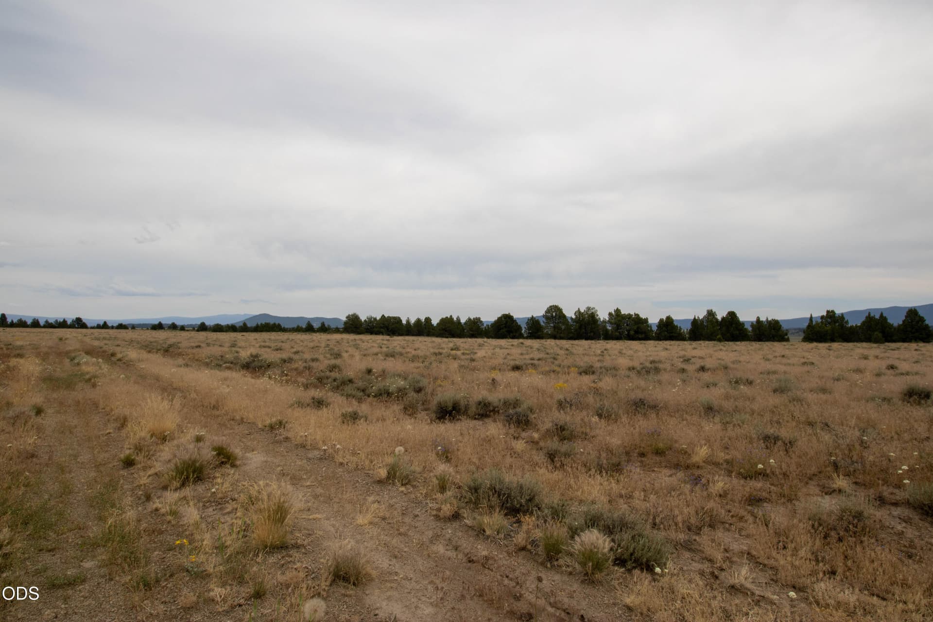 Felix Hernandez-3. Photo 3 of 7, Rim Drive Unit 24, Chiloquin, OR 97624