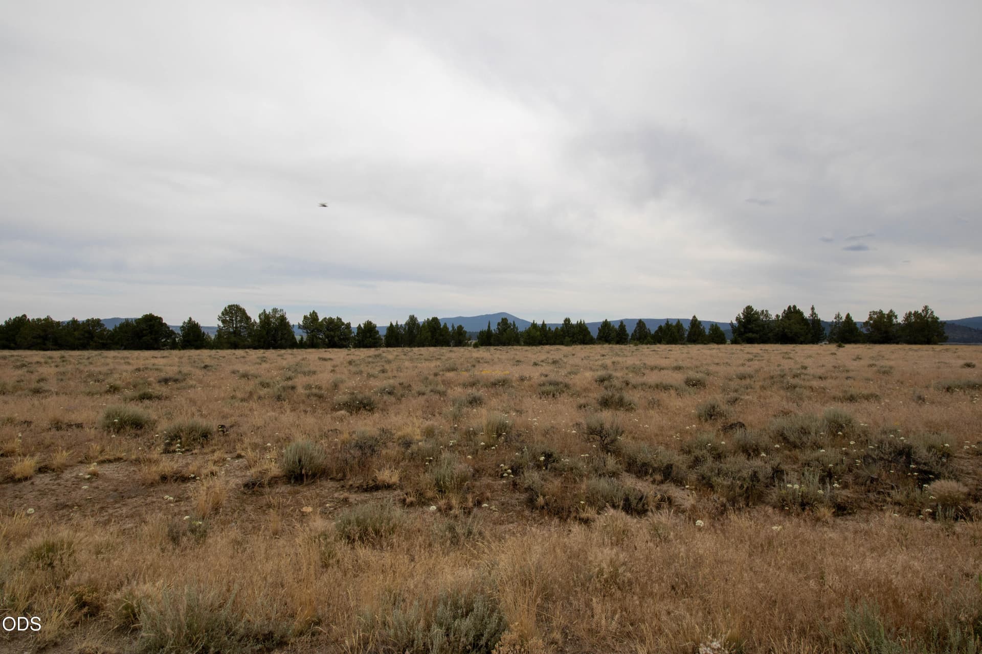 Felix Hernandez-4. Photo 4 of 7, Rim Drive Unit 24, Chiloquin, OR 97624
