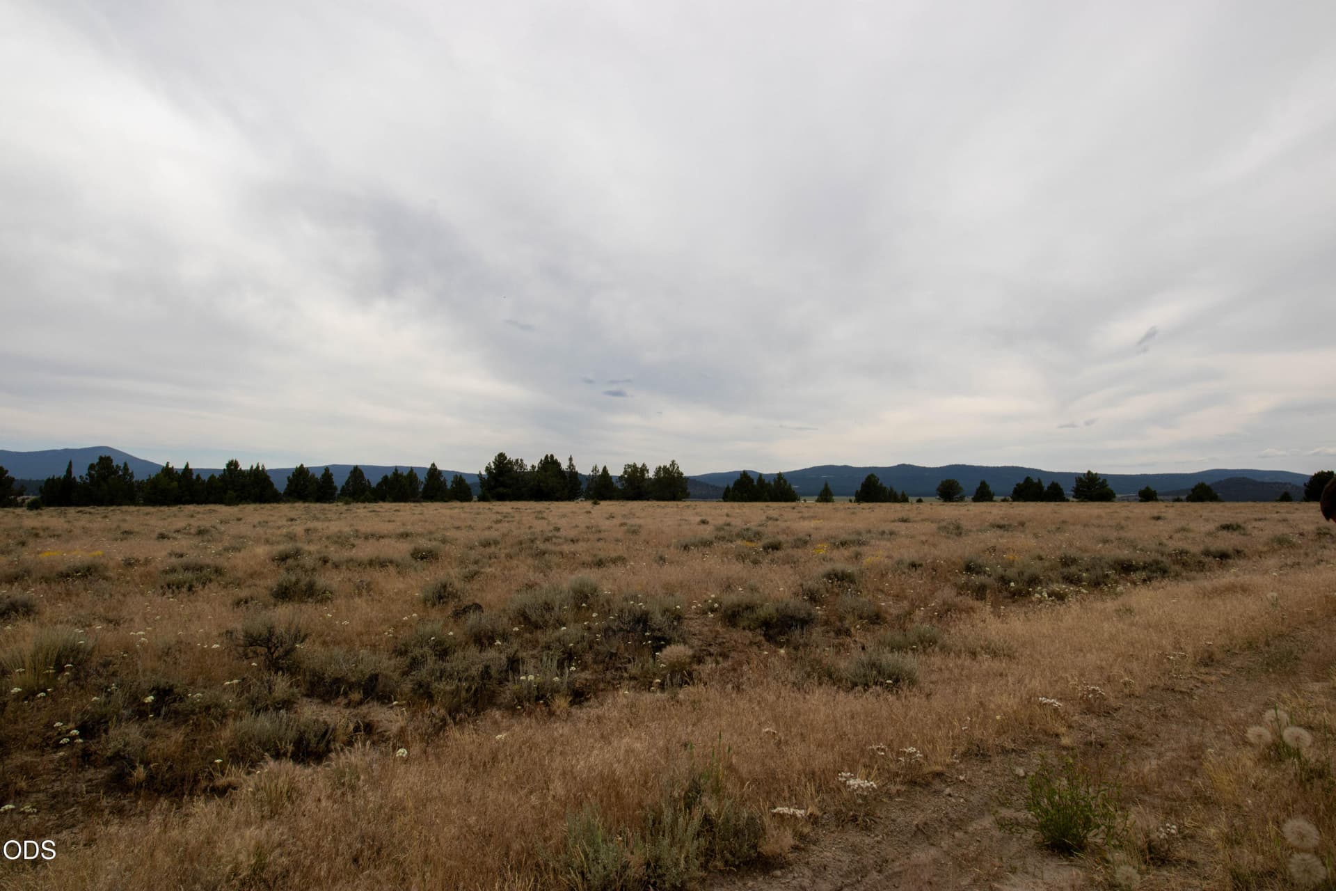 Felix Hernandez-5. Photo 5 of 7, Rim Drive Unit 24, Chiloquin, OR 97624