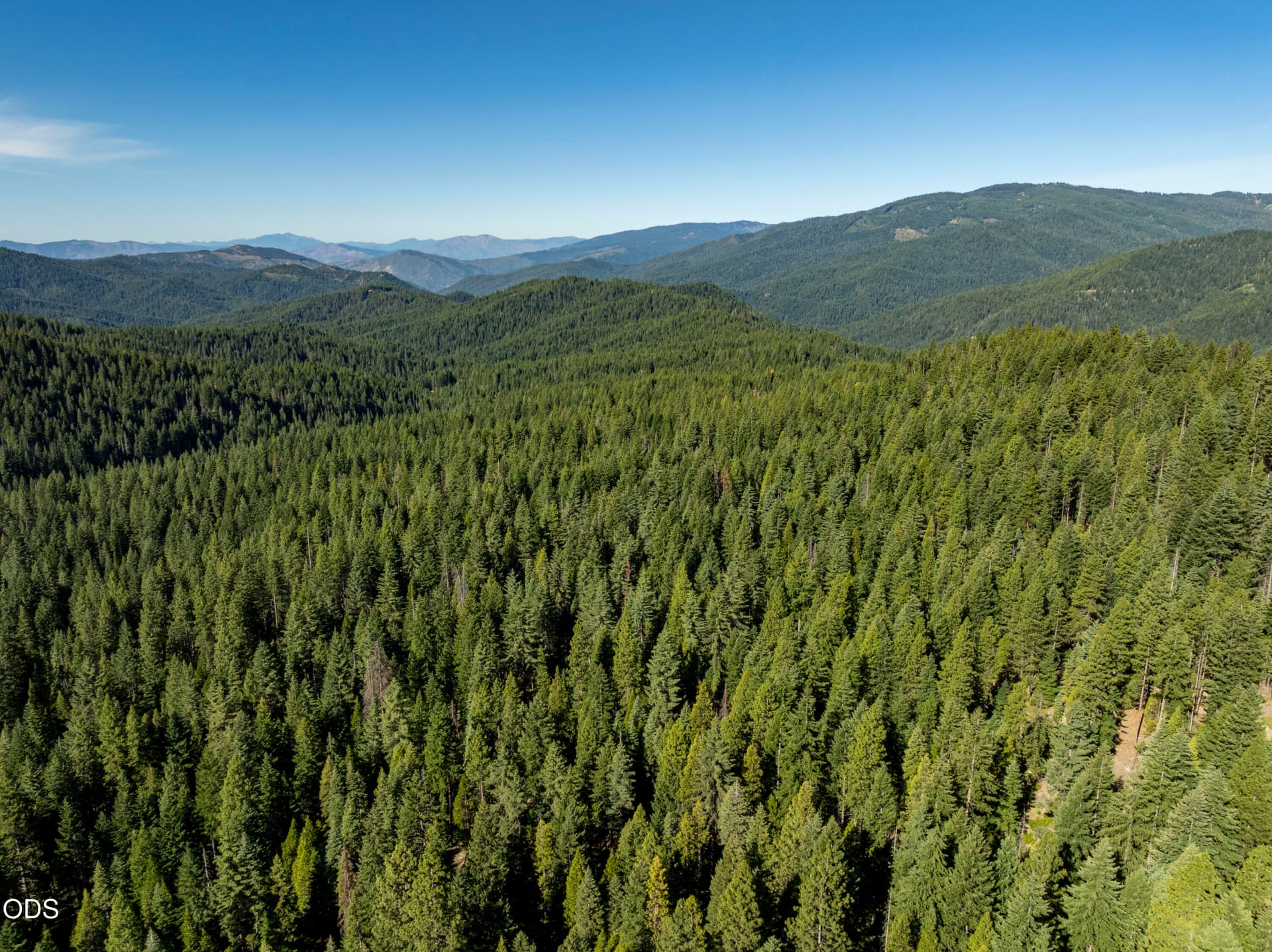 four-corners-ranch-southern-oregon-timbe. Photo 3 of 55, 0 Hungry Ridge, Ashland, OR 97520