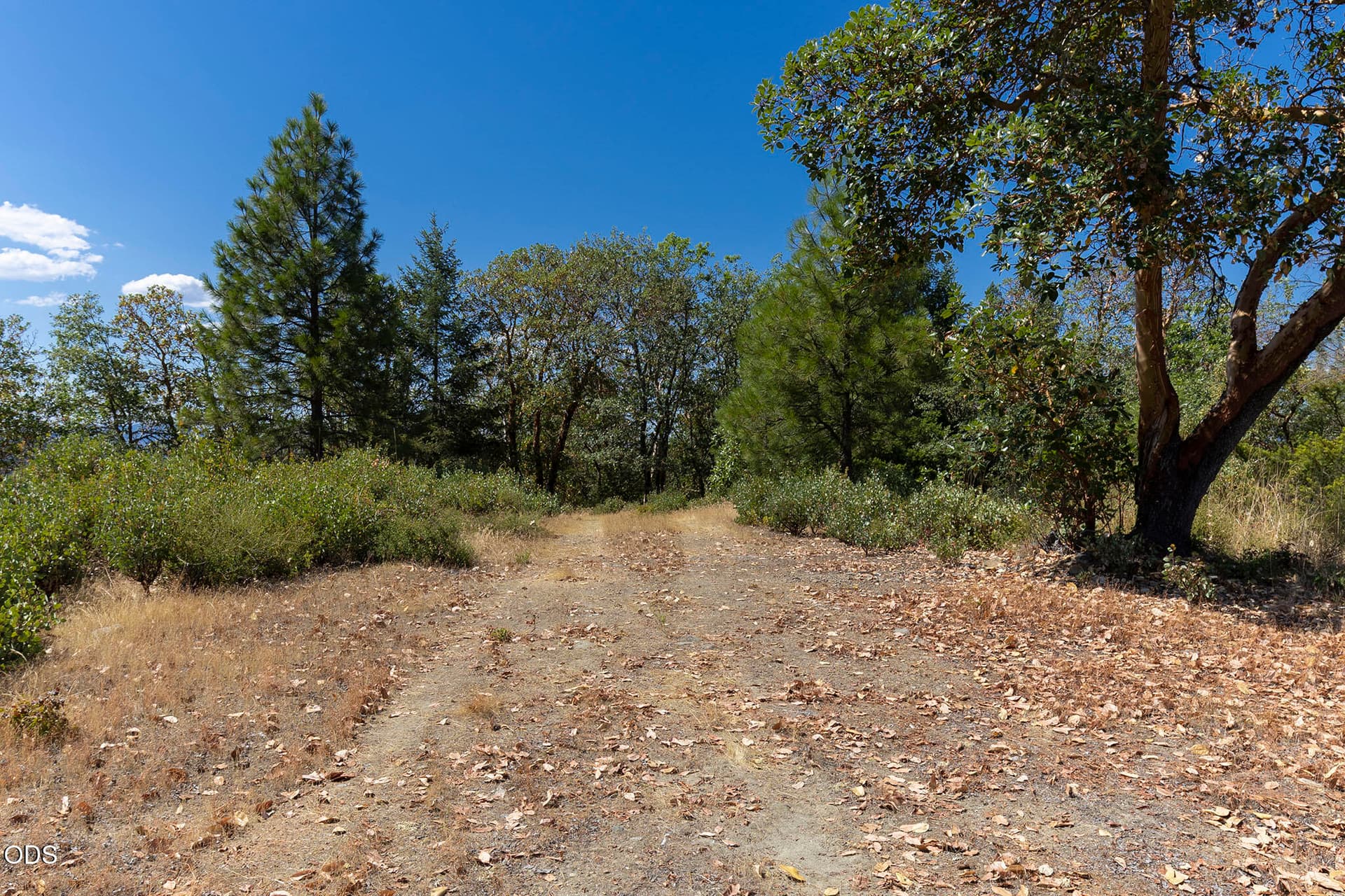 5. Photo 5 of 28, Homewood Road Unit TL #101, Grants Pass, OR 97527