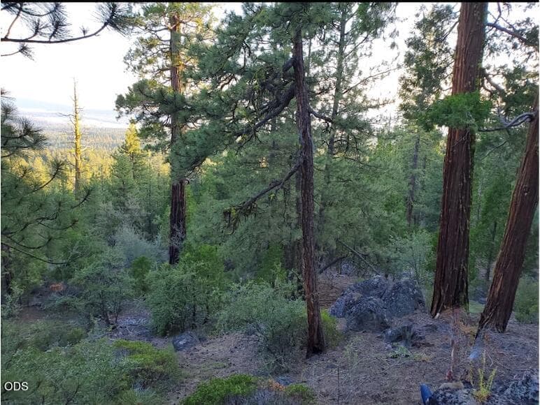 Screenshot 2026-07-18 at 3.04.11PM - Ed. Photo 3 of 20, 0 Seal Lane Unit 37, Bonanza, OR 97623