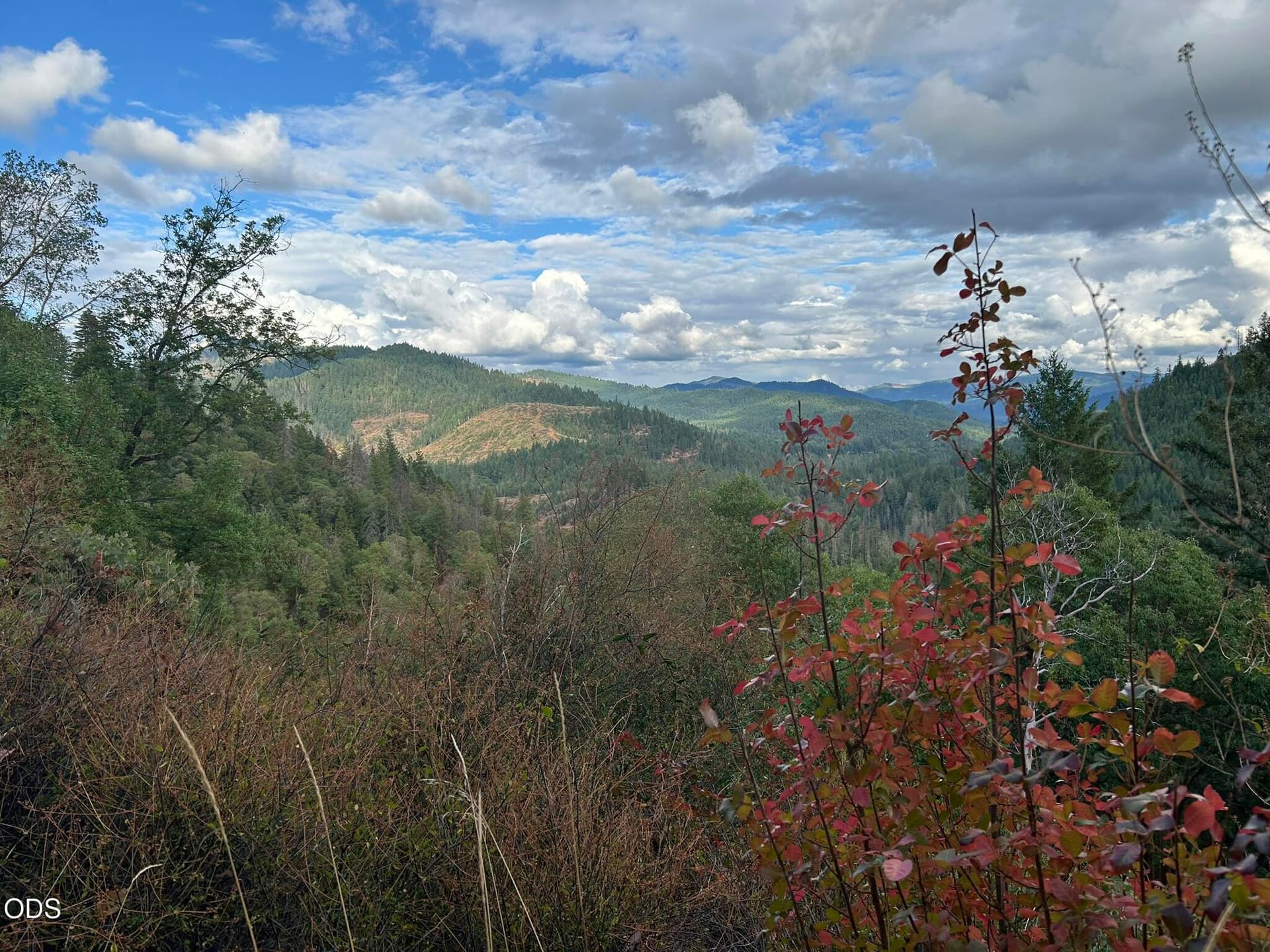 1. Photo 1 of 23, 6200 Lower Grave Creek Road, Wolf Creek, OR 97497