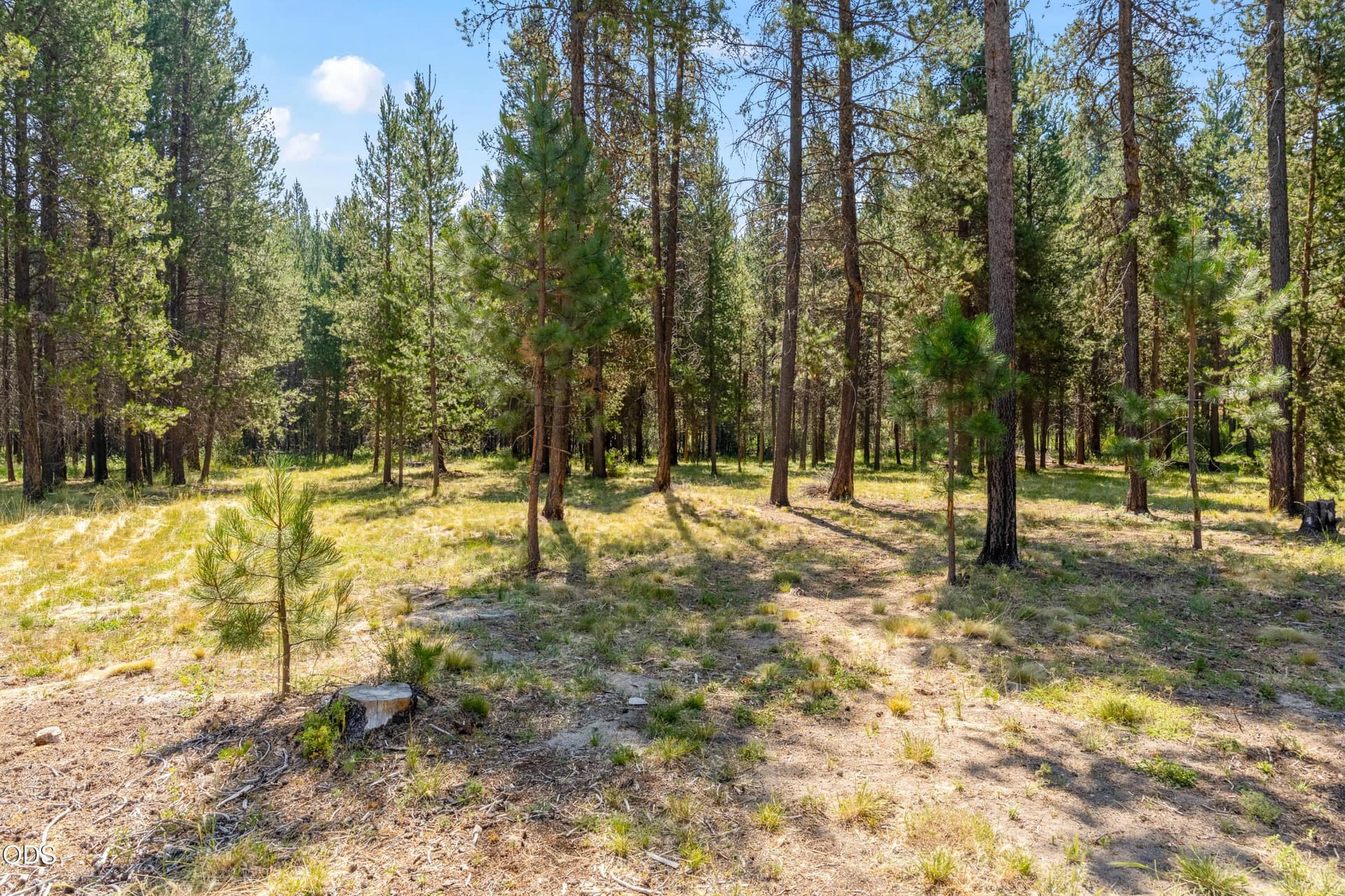 03. Photo 3 of 11, 55471 Jamie Way, Bend, OR 97707