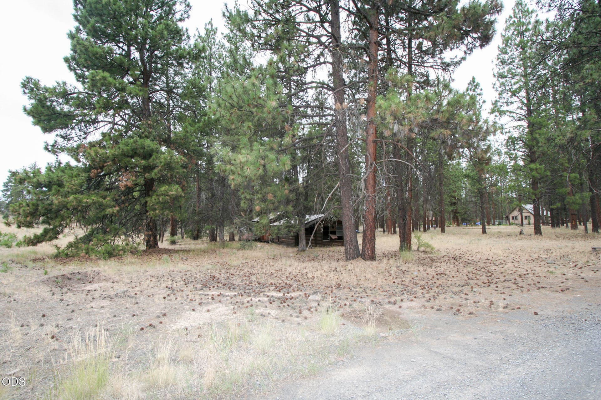 1-IMG_3258. Photo 3 of 5, 9208 Mina Bird Drive, Bonanza, OR 97623