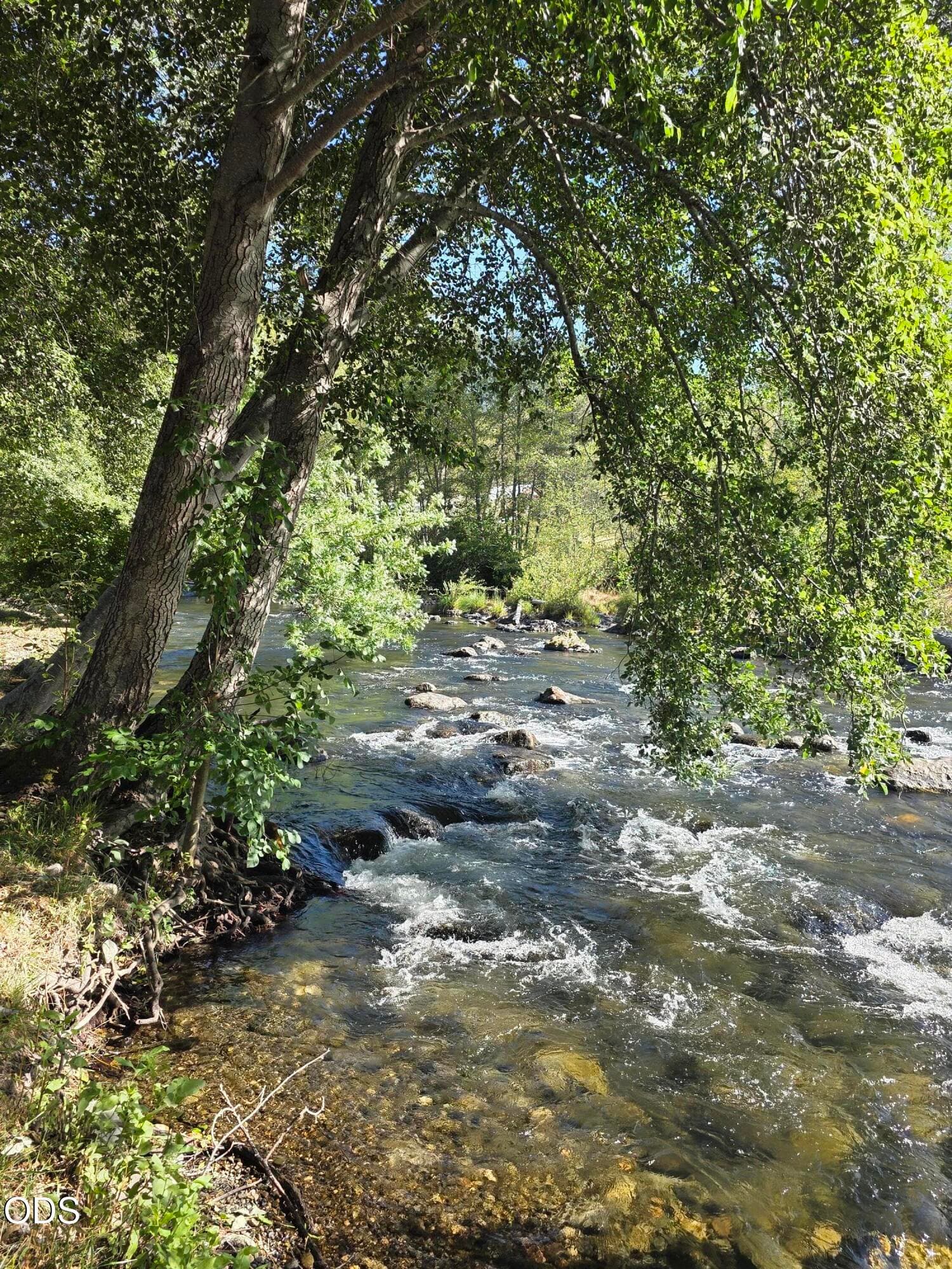 Applegate River. Photo 3 of 63, 2076 Upper Applegate Road, Jacksonville, OR 97530