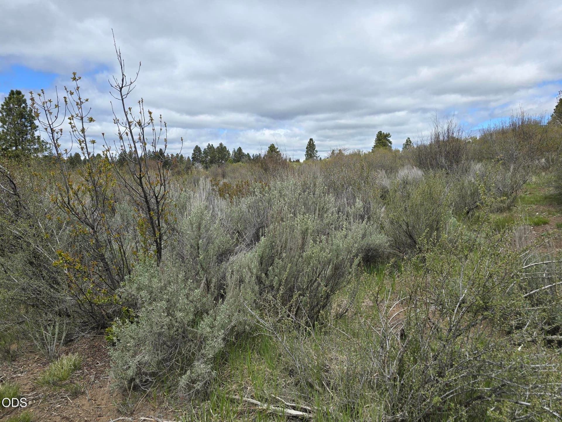 Margi Way. Photo 2 of 6, Margi Way, Chiloquin, OR 97624
