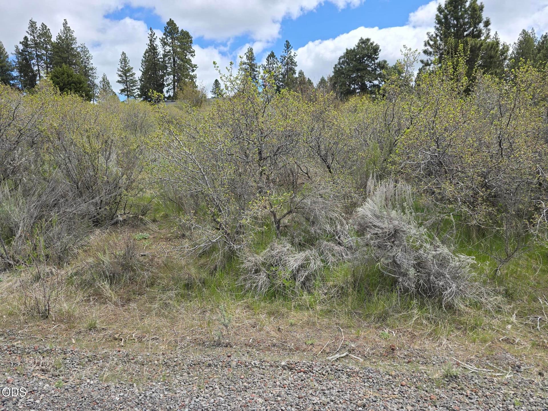 Margi Way. Photo 3 of 6, Margi Way, Chiloquin, OR 97624