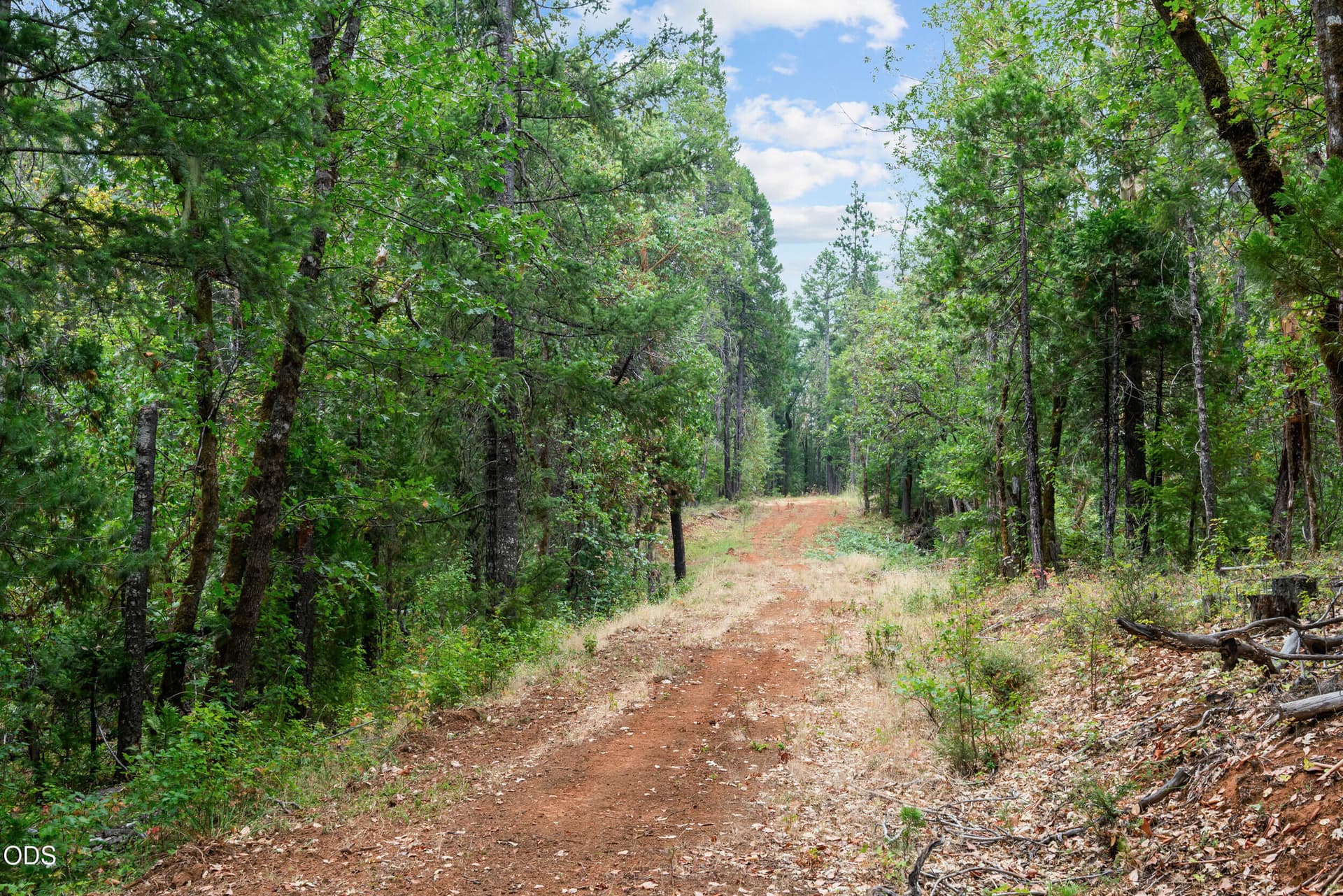 Road In. Photo 5 of 33, 9433 W Evans Creek Road, Rogue River, OR 97537