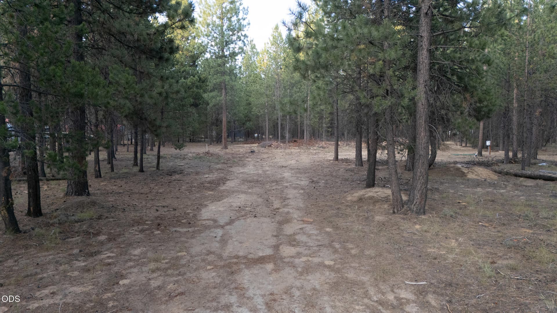 Partial thinning. Photo 4 of 6, 53132 Andrews Road, La Pine, OR 97739