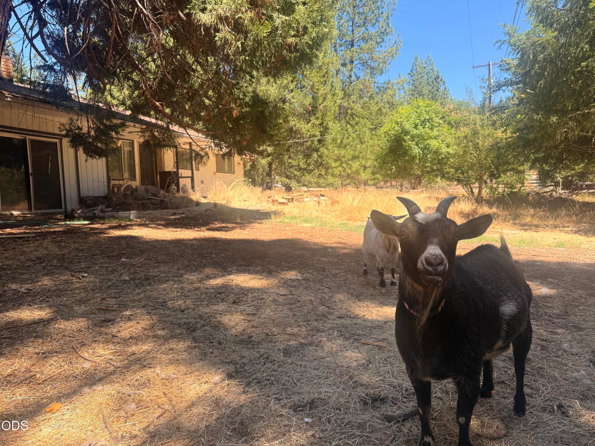 Convenient Country Living. Photo 1 of 7, 6148 E Evans Creek Road, Rogue River, OR 97537