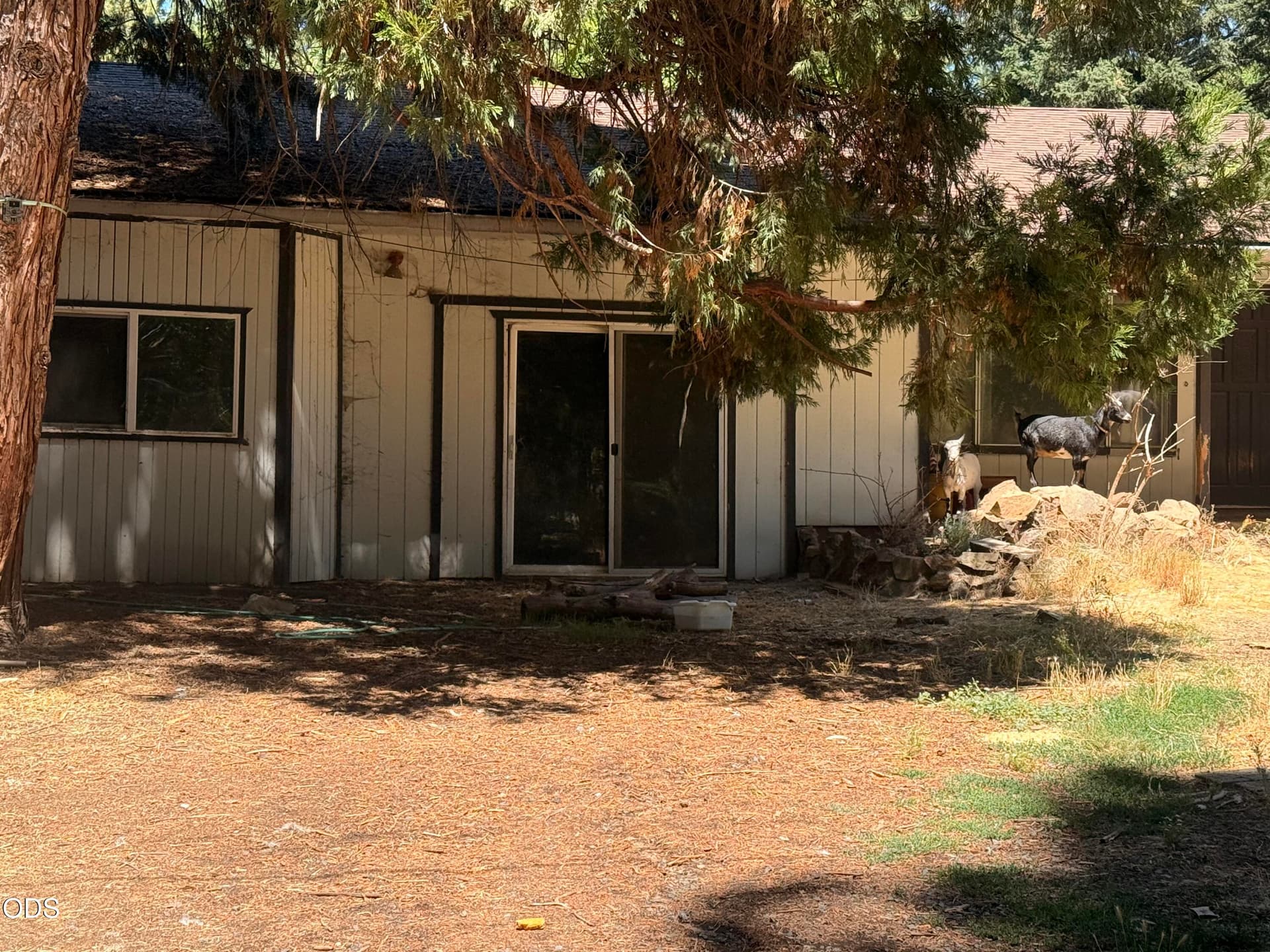 Looking for a little TLC. Photo 2 of 7, 6148 E Evans Creek Road, Rogue River, OR 97537