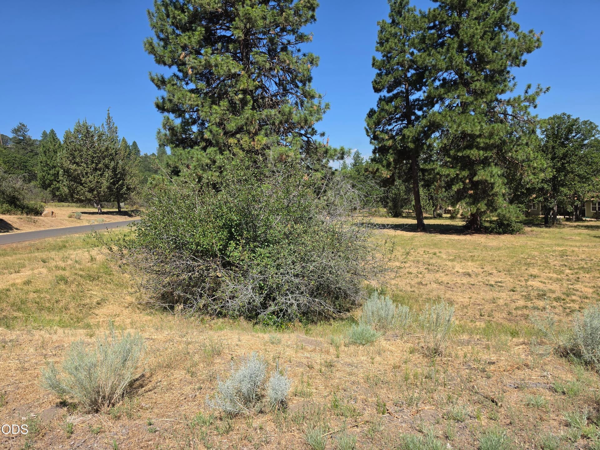 85797. Photo 2 of 15, Dunlin Lane Unit 892, Klamath Falls, OR 97601