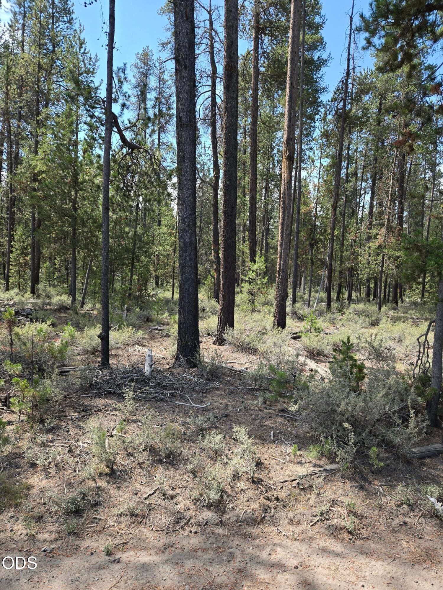 20260714_111331. Photo 1 of 4, 52650 Ranch Drive, La Pine, OR 97739