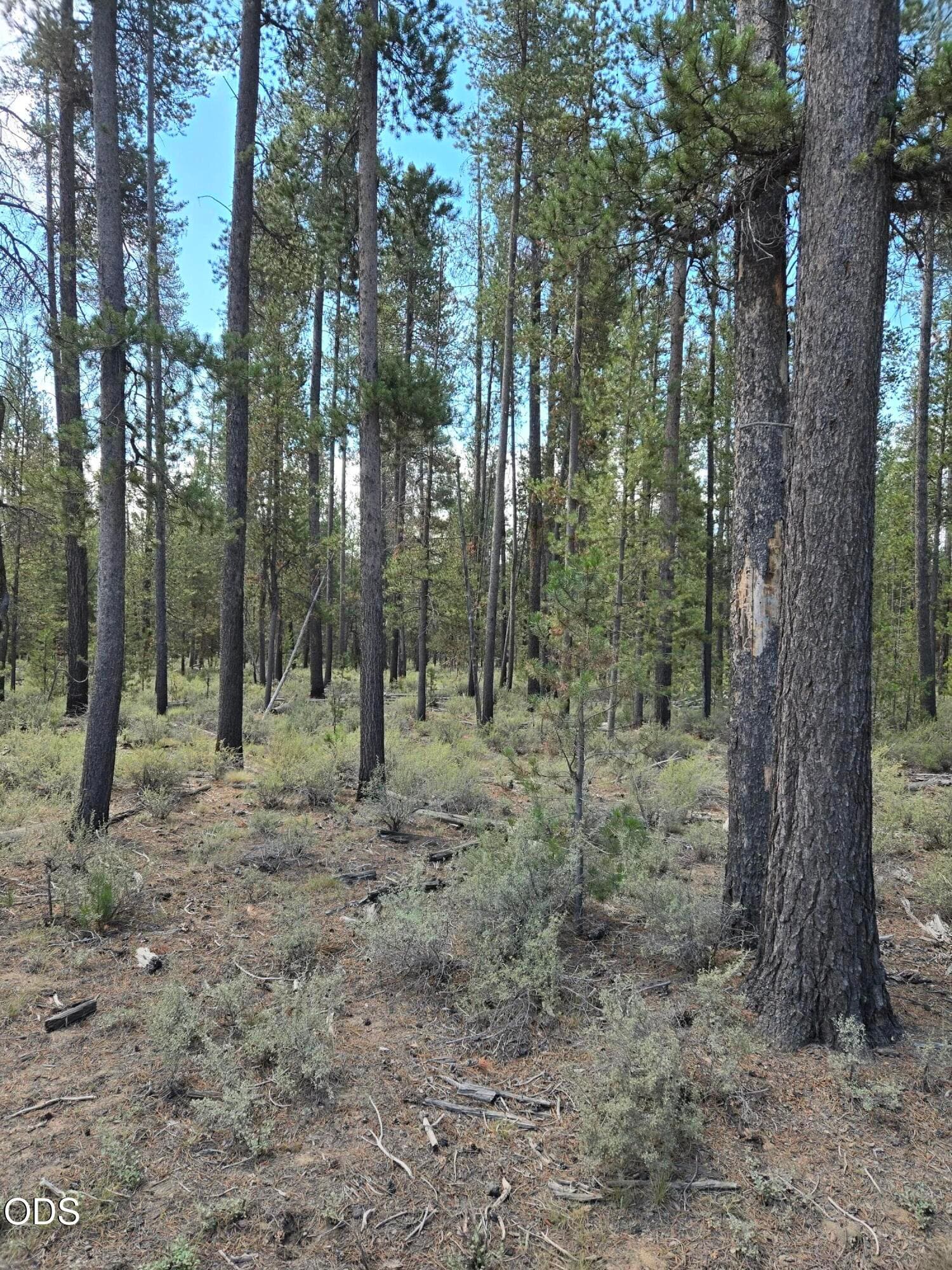 20260714_111400 (2). Photo 2 of 4, 52650 Ranch Drive, La Pine, OR 97739