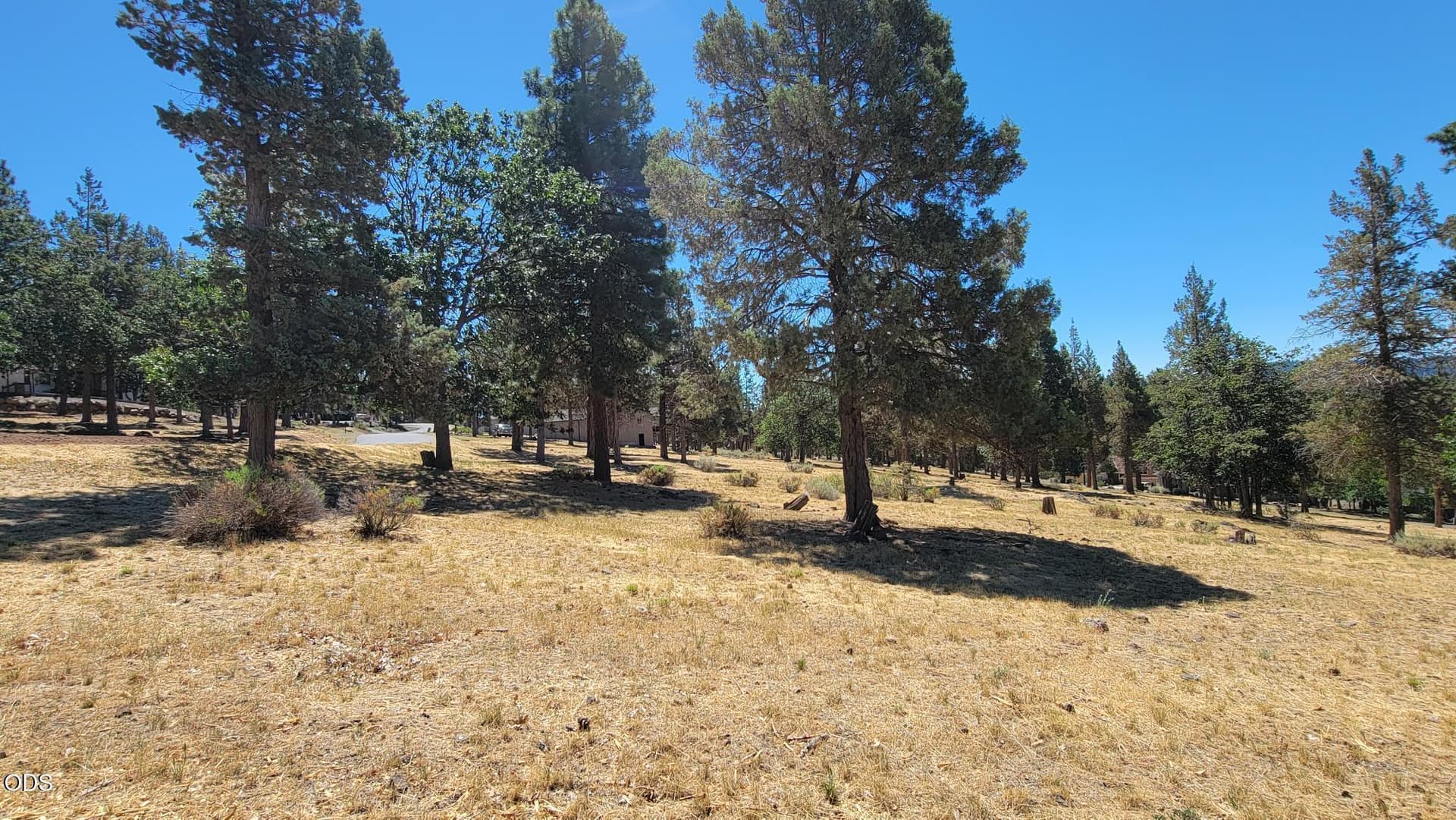 20260724_120320. Photo 3 of 10, 0 Mourning Dove Drive Unit Lot #520, Klamath Falls, OR 97601