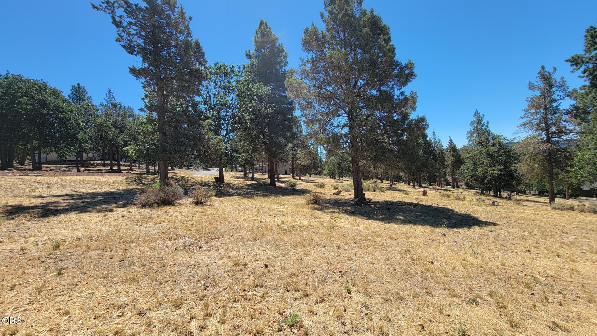20260724_120326. Photo 4 of 10, 0 Mourning Dove Drive Unit Lot #520, Klamath Falls, OR 97601
