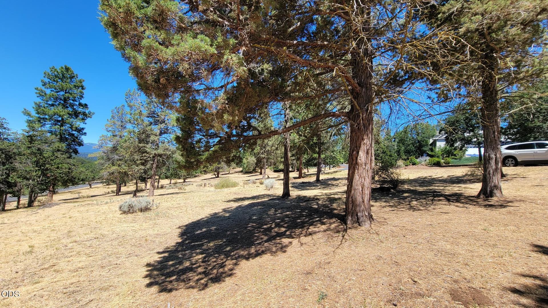 20260724_120441. Photo 5 of 10, 0 Mourning Dove Drive Unit Lot #520, Klamath Falls, OR 97601