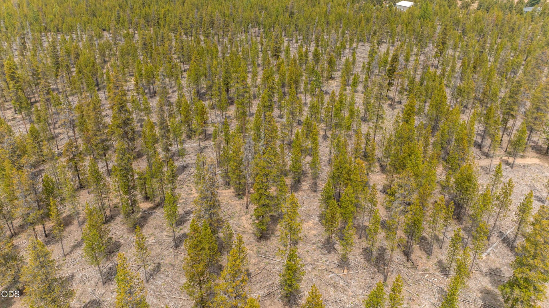 37.16 Acres. Photo 4 of 20, 52495 Old Stage Road, La Pine, OR 97739