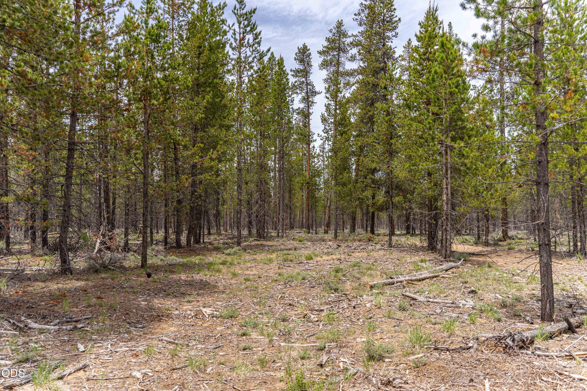 37.16 Acres. Photo 5 of 20, 52495 Old Stage Road, La Pine, OR 97739