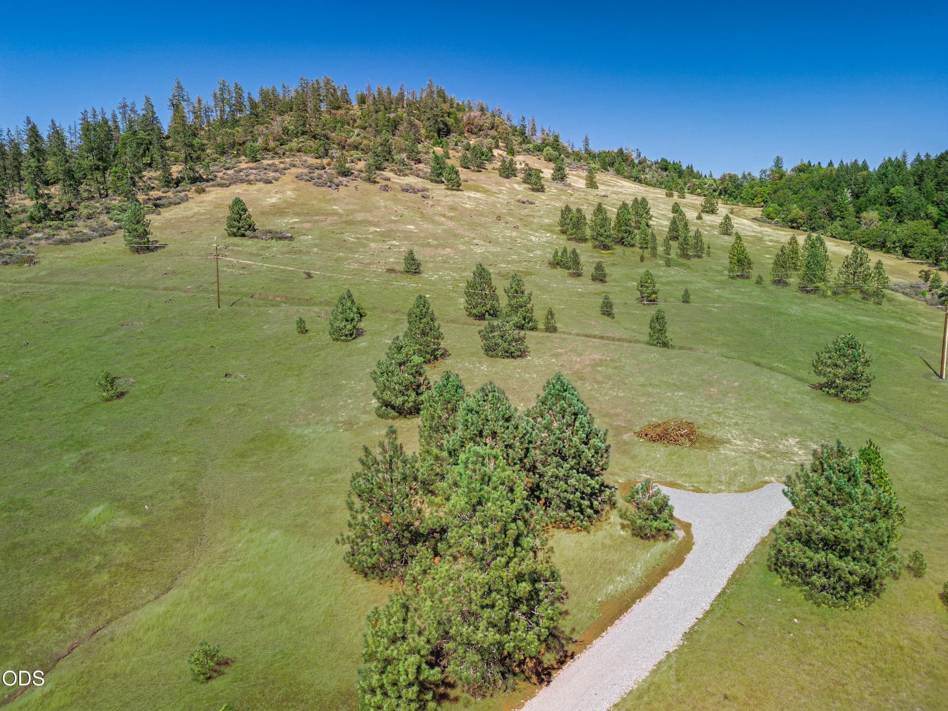 main shot enhanced. Photo 1 of 14, 1408 Caves Highway, Cave Junction, OR 97523