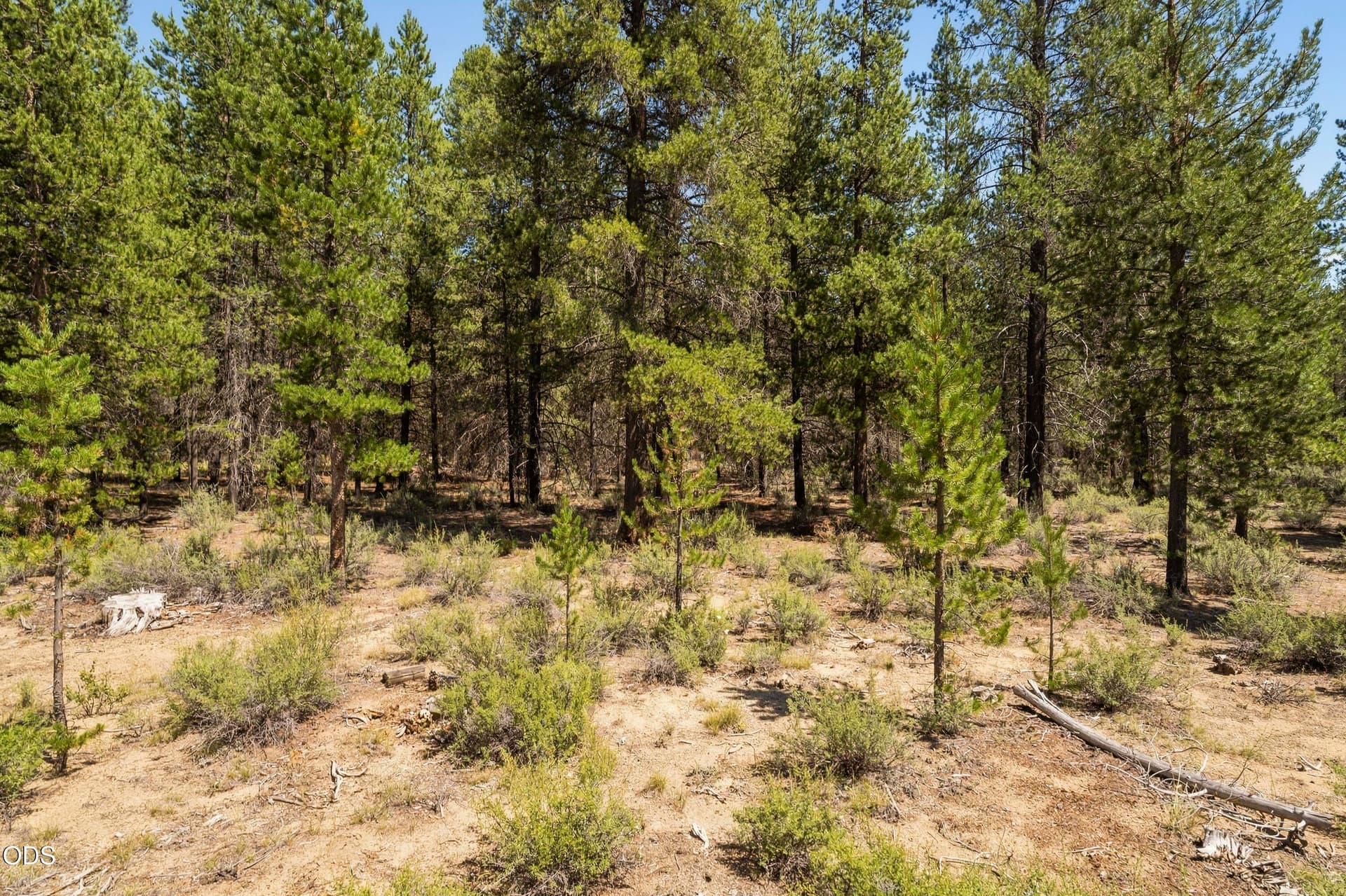 11-52667 Wayside Loop. Photo 5 of 10, 52667 Wayside Loop, La Pine, OR 97739