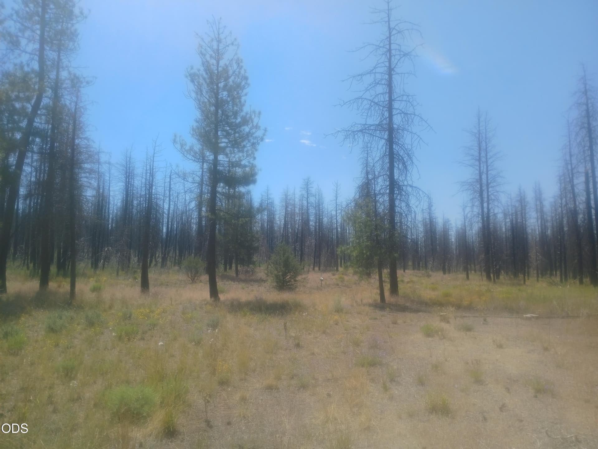 20260718_112438. Photo 4 of 11, 34228 Zebra Lane, Bonanza, OR 97623