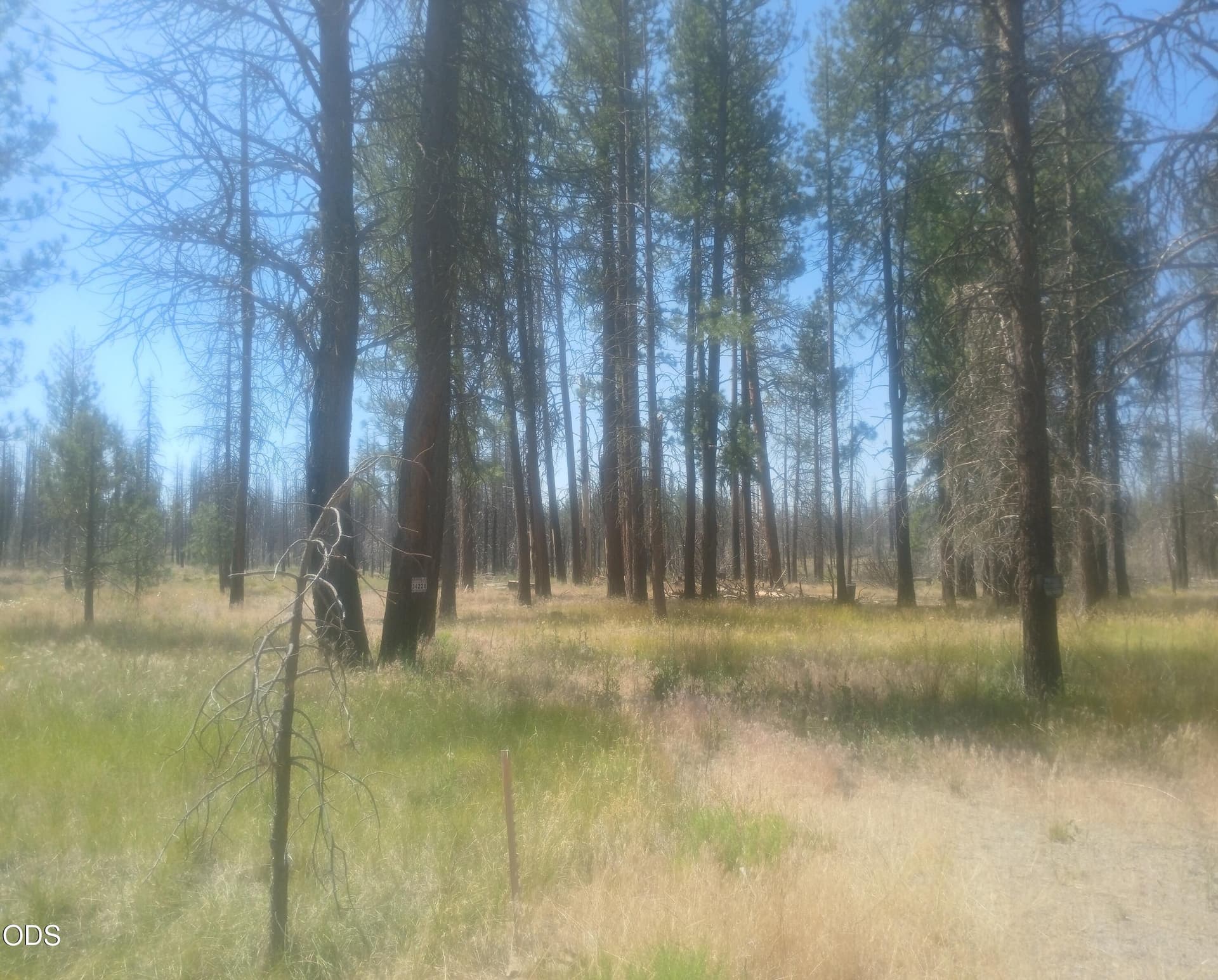 20260718_112526. Photo 1 of 11, 34228 Zebra Lane, Bonanza, OR 97623