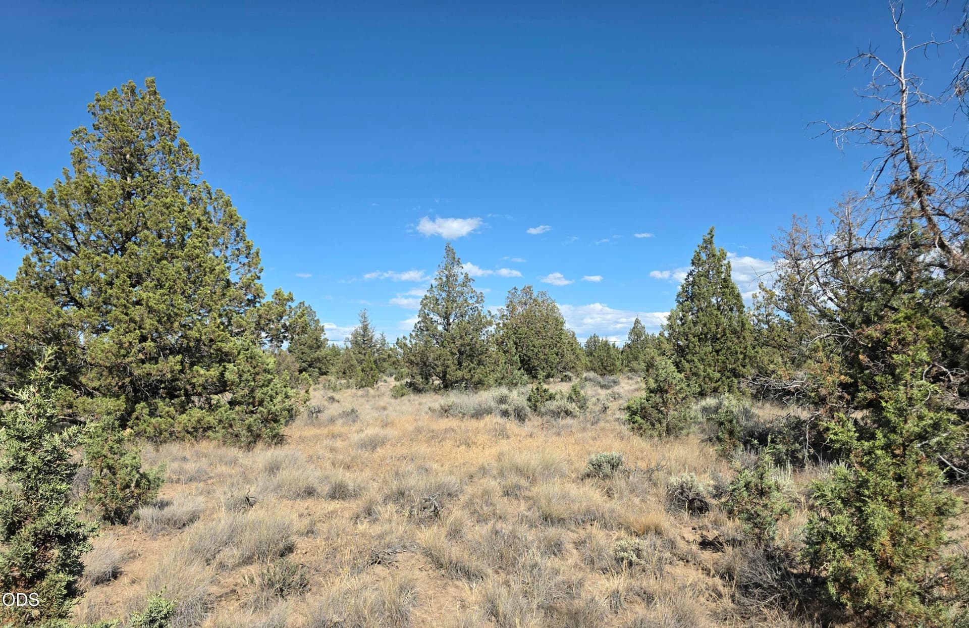 20260710_163453. Photo 2 of 5, SE Cayuse Road, Prineville, OR 97754