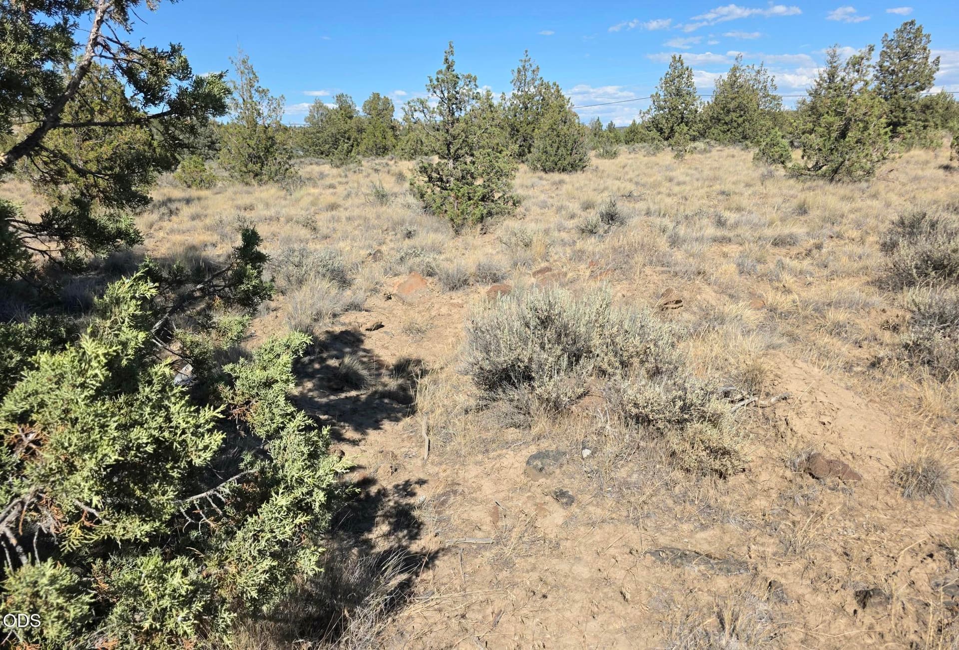 20260710_163543. Photo 3 of 5, SE Cayuse Road, Prineville, OR 97754