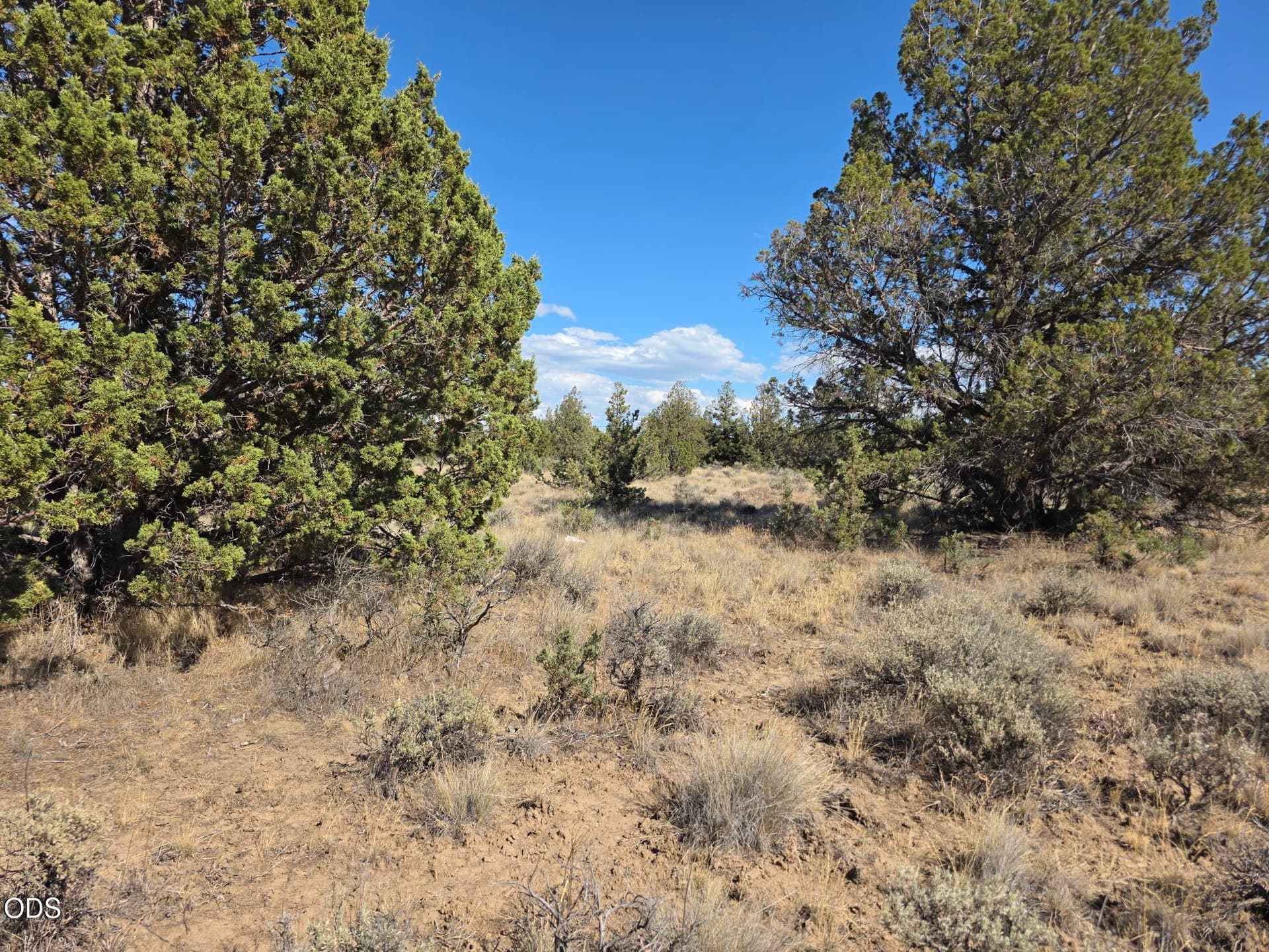 20260710_163723. Photo 4 of 5, SE Cayuse Road, Prineville, OR 97754