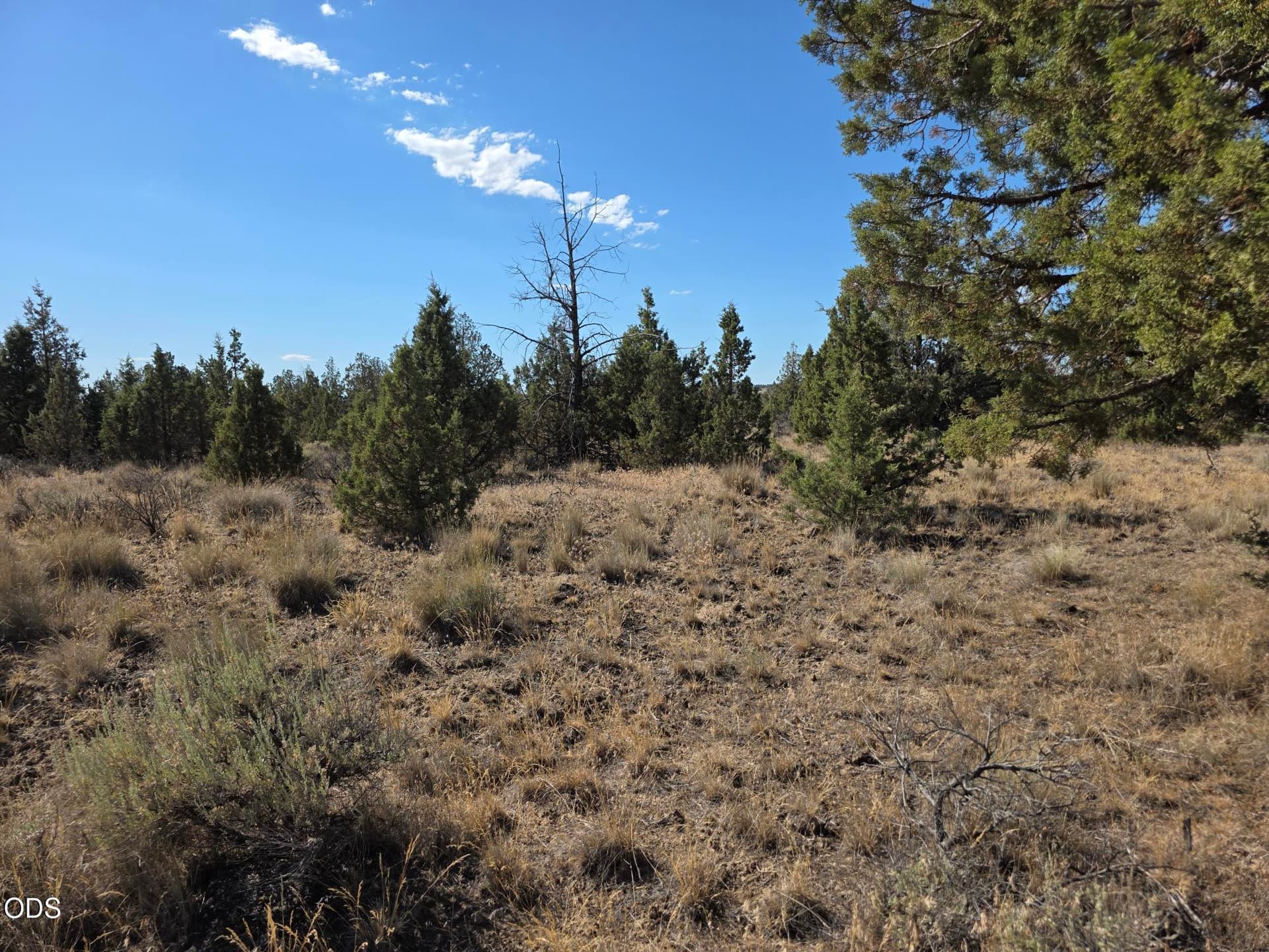 20260710_165931. Photo 5 of 5, SE Cayuse Road, Prineville, OR 97754