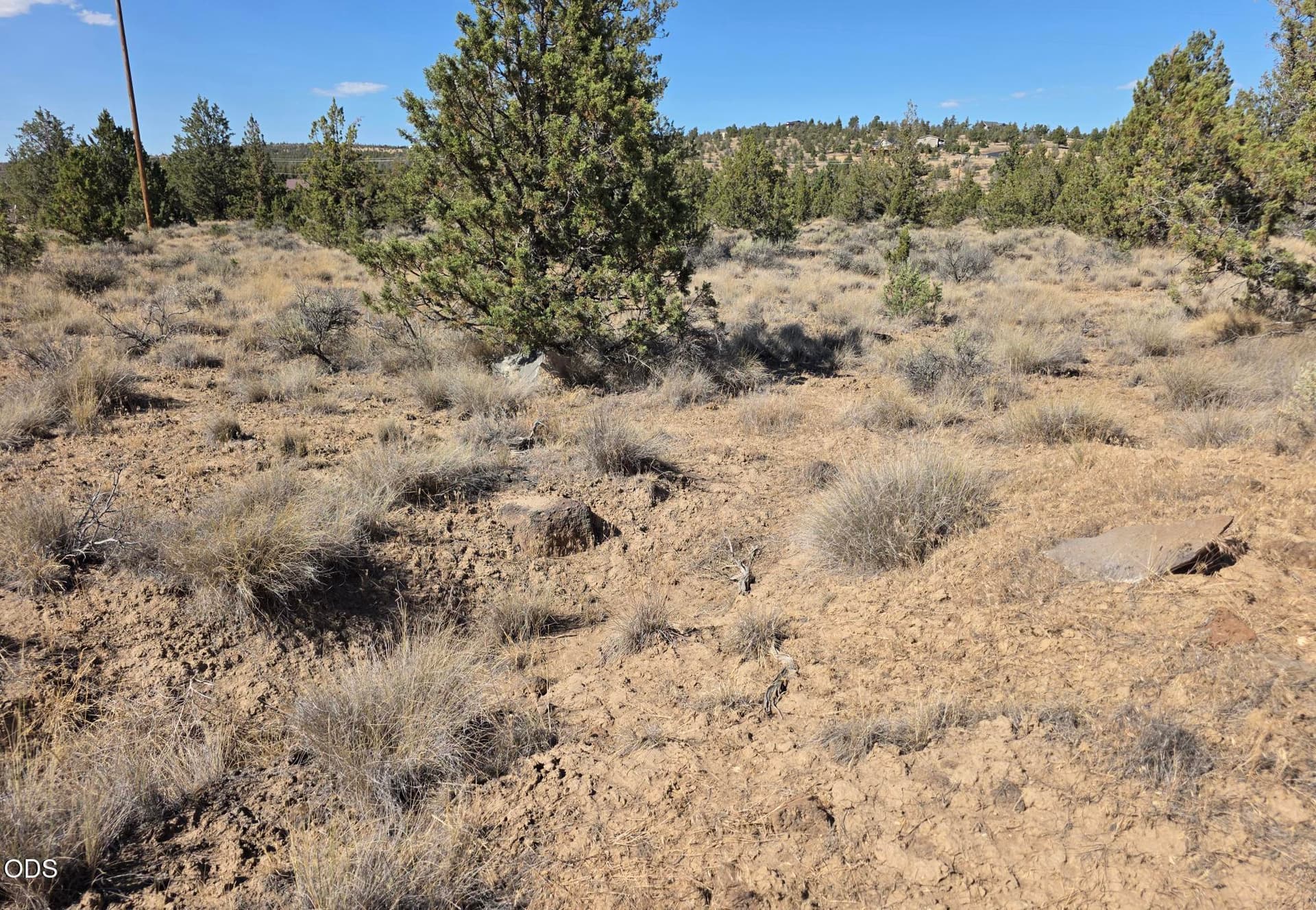 20260710_163833. Photo 2 of 8, SE Cayuse Road, Prineville, OR 97754