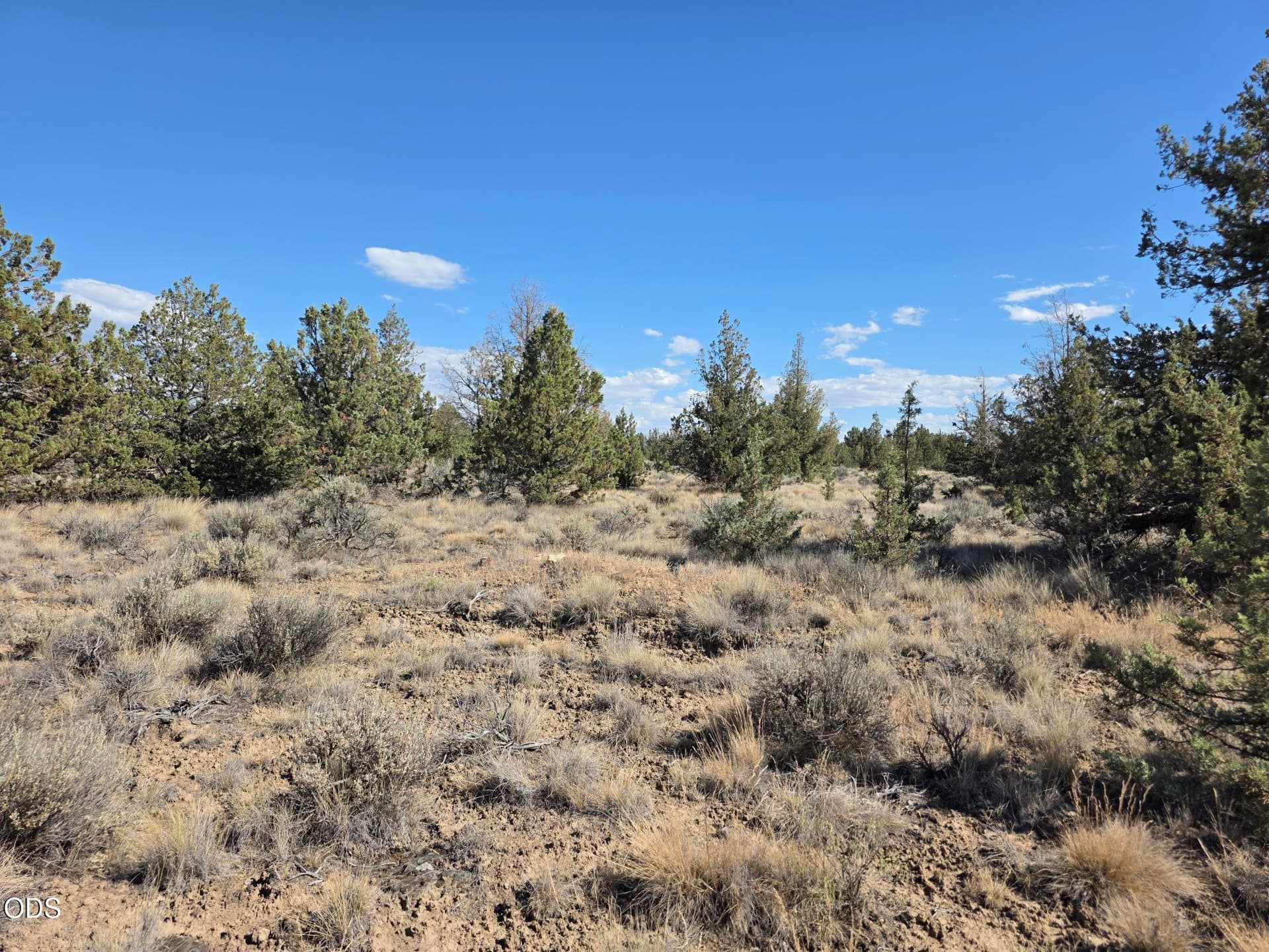 20260710_164219. Photo 3 of 8, SE Cayuse Road, Prineville, OR 97754