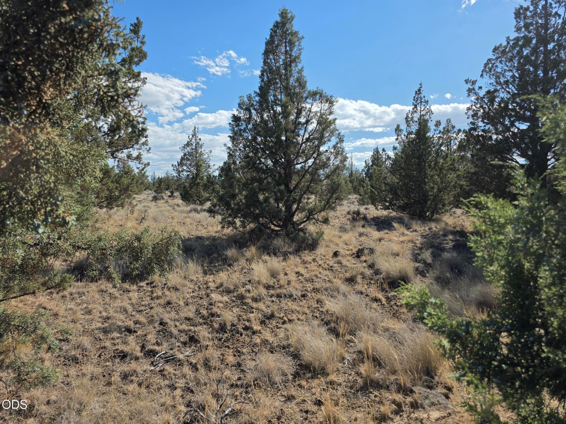 20260710_165043. Photo 5 of 8, SE Cayuse Road, Prineville, OR 97754