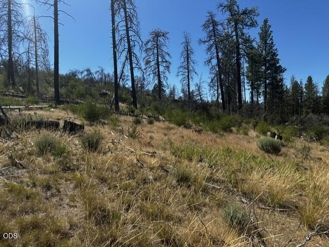 Lot. Photo 2 of 6, 0 Wren Drive Unit Lot 6, Bonanza, OR 97623